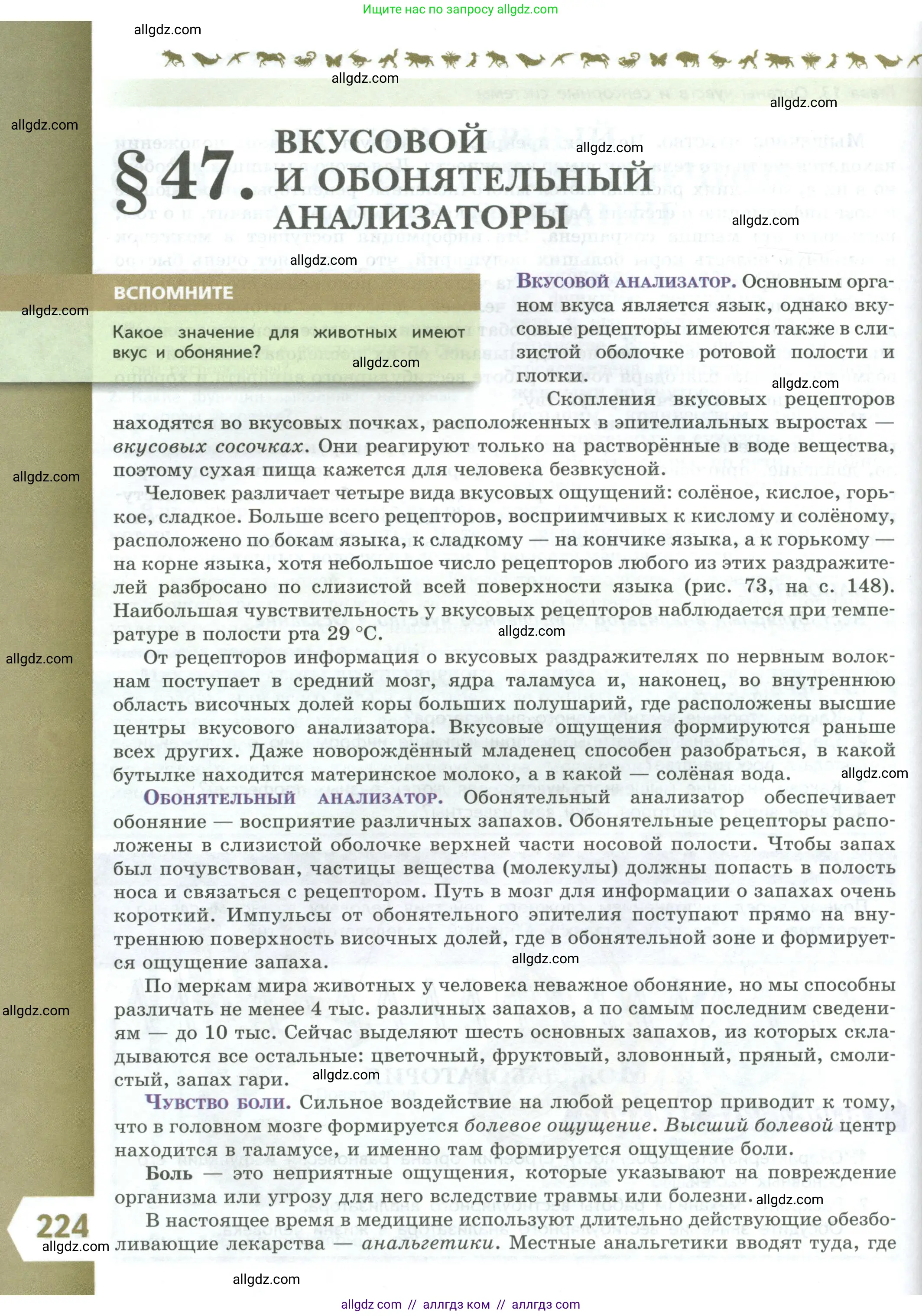 Биология, 9 класс Учебник, авторы: Пасечник Владимир Васильевич, Каменский Андрей Александрович, Швецов Глеб Геннадьевич, Гапонюк Зоя Георгиевна, издательство Просвещение, Москва, 2023, белого цвета, страница 224