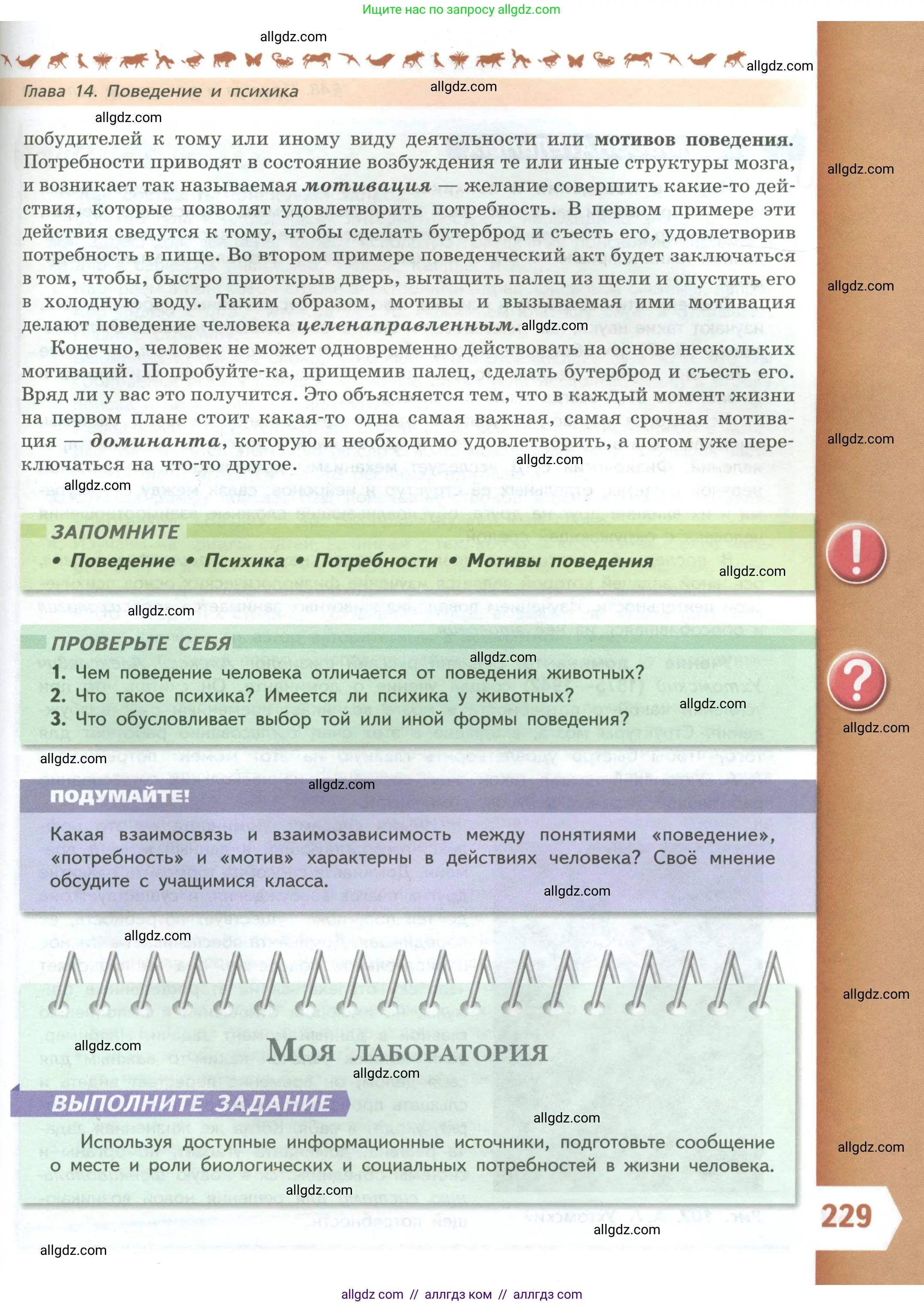 Биология, 9 класс Учебник, авторы: Пасечник Владимир Васильевич, Каменский Андрей Александрович, Швецов Глеб Геннадьевич, Гапонюк Зоя Георгиевна, издательство Просвещение, Москва, 2023, белого цвета, страница 229