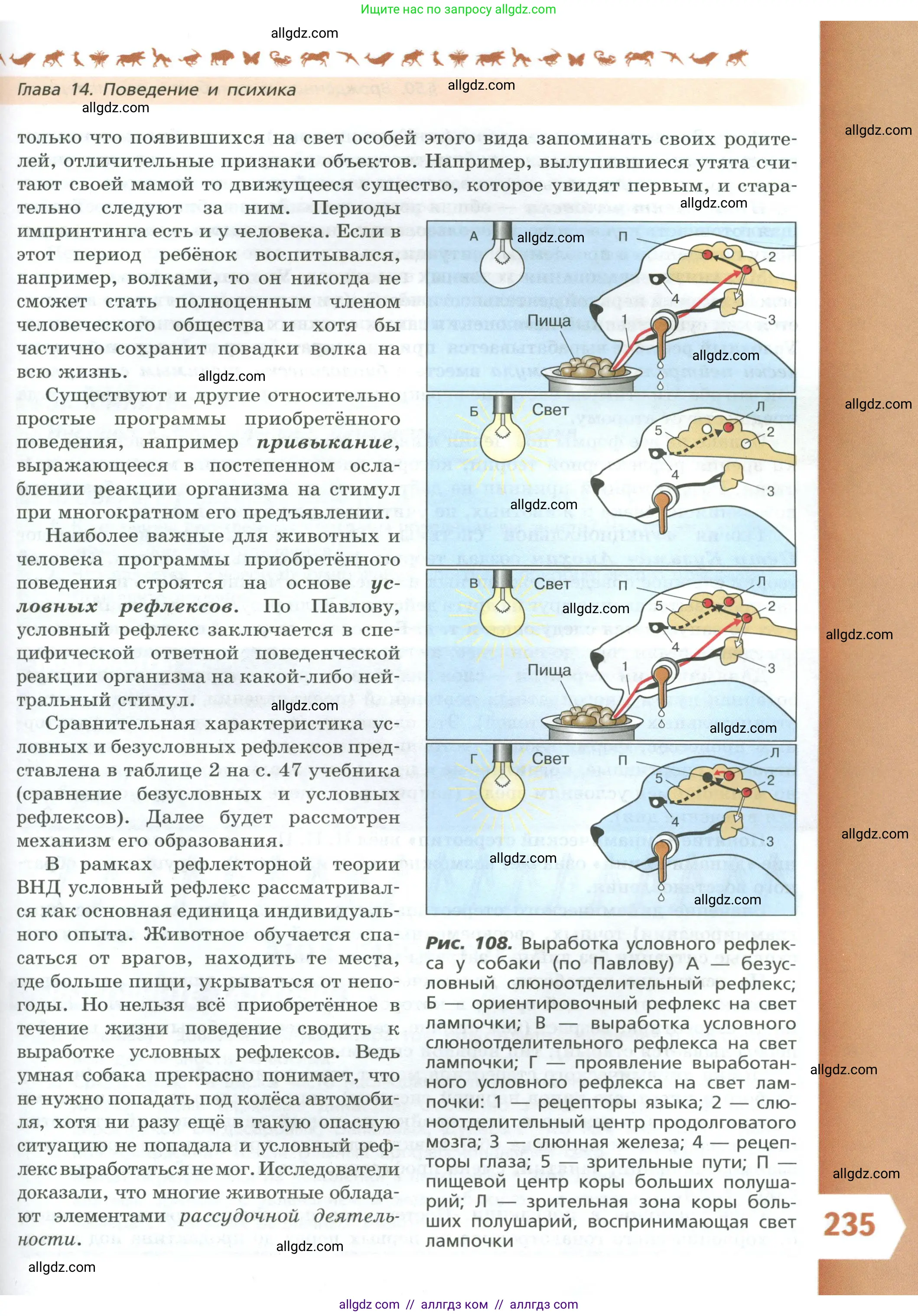Биология, 9 класс Учебник, авторы: Пасечник Владимир Васильевич, Каменский Андрей Александрович, Швецов Глеб Геннадьевич, Гапонюк Зоя Георгиевна, издательство Просвещение, Москва, 2023, белого цвета, страница 235