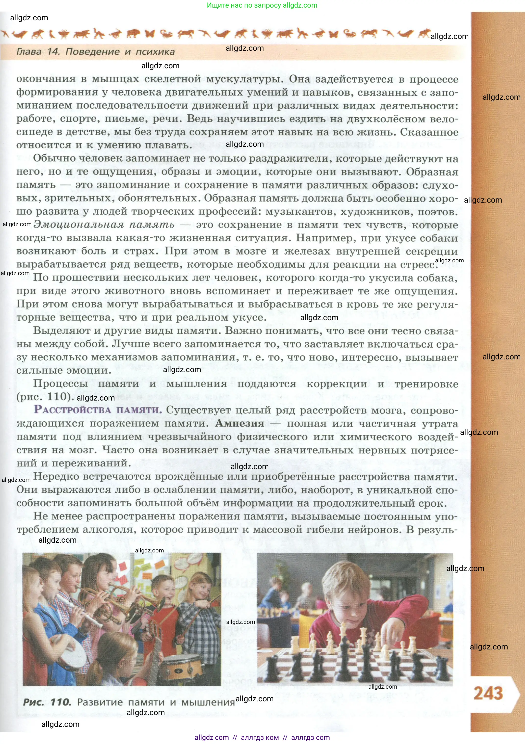 Биология, 9 класс Учебник, авторы: Пасечник Владимир Васильевич, Каменский Андрей Александрович, Швецов Глеб Геннадьевич, Гапонюк Зоя Георгиевна, издательство Просвещение, Москва, 2023, белого цвета, страница 243