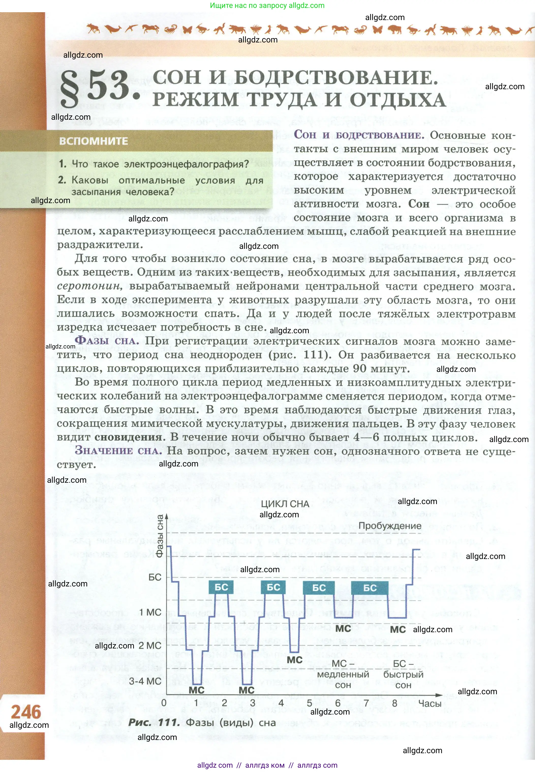 Биология, 9 класс Учебник, авторы: Пасечник Владимир Васильевич, Каменский Андрей Александрович, Швецов Глеб Геннадьевич, Гапонюк Зоя Георгиевна, издательство Просвещение, Москва, 2023, белого цвета, страница 246