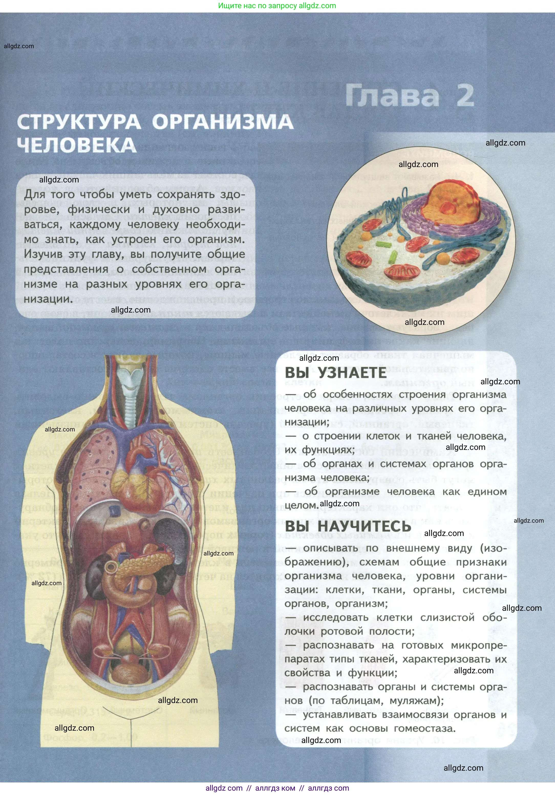 Биология, 9 класс Учебник, авторы: Пасечник Владимир Васильевич, Каменский Андрей Александрович, Швецов Глеб Геннадьевич, Гапонюк Зоя Георгиевна, издательство Просвещение, Москва, 2023, белого цвета, страница 25
