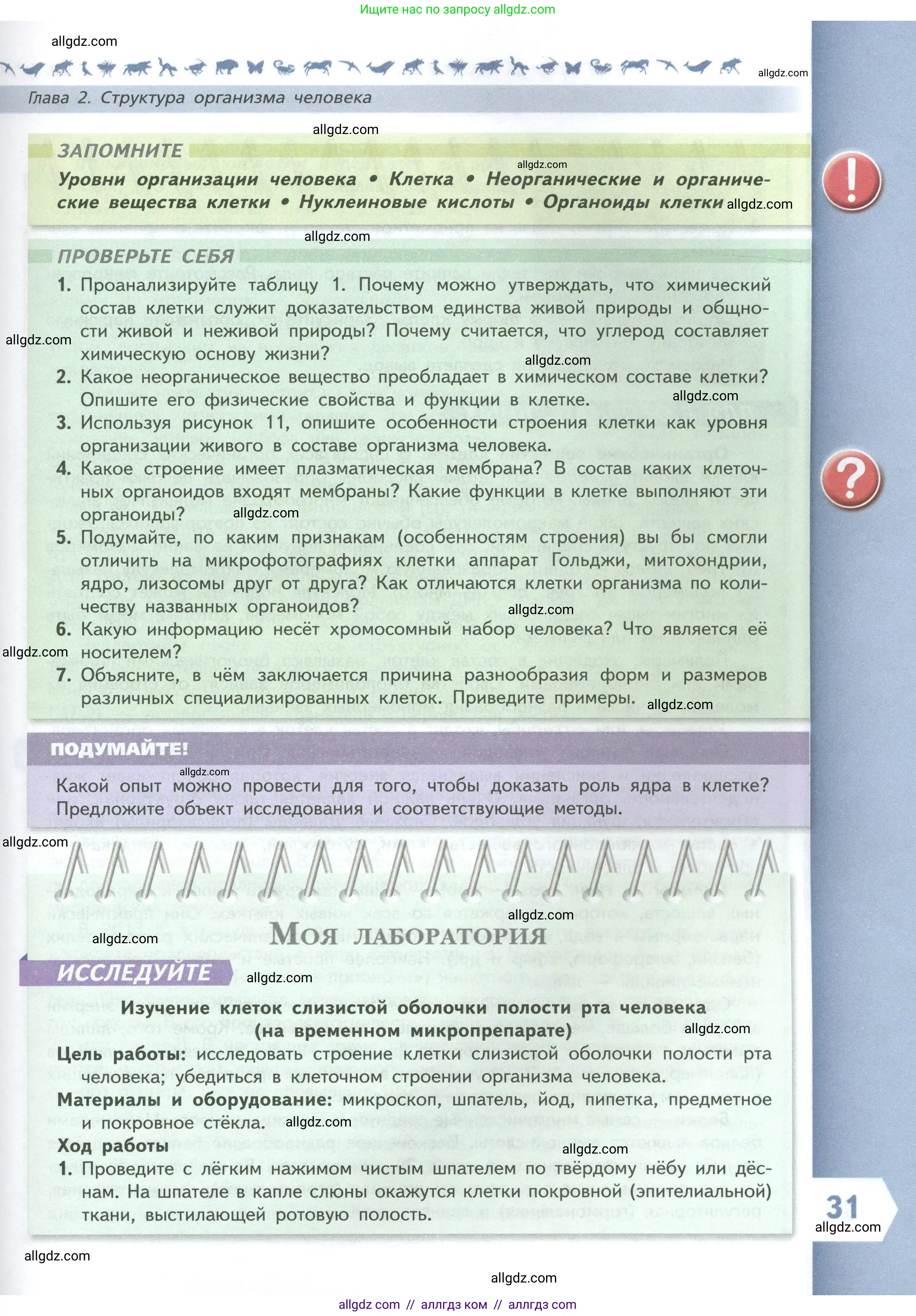 Биология, 9 класс Учебник, авторы: Пасечник Владимир Васильевич, Каменский Андрей Александрович, Швецов Глеб Геннадьевич, Гапонюк Зоя Георгиевна, издательство Просвещение, Москва, 2023, белого цвета, страница 31