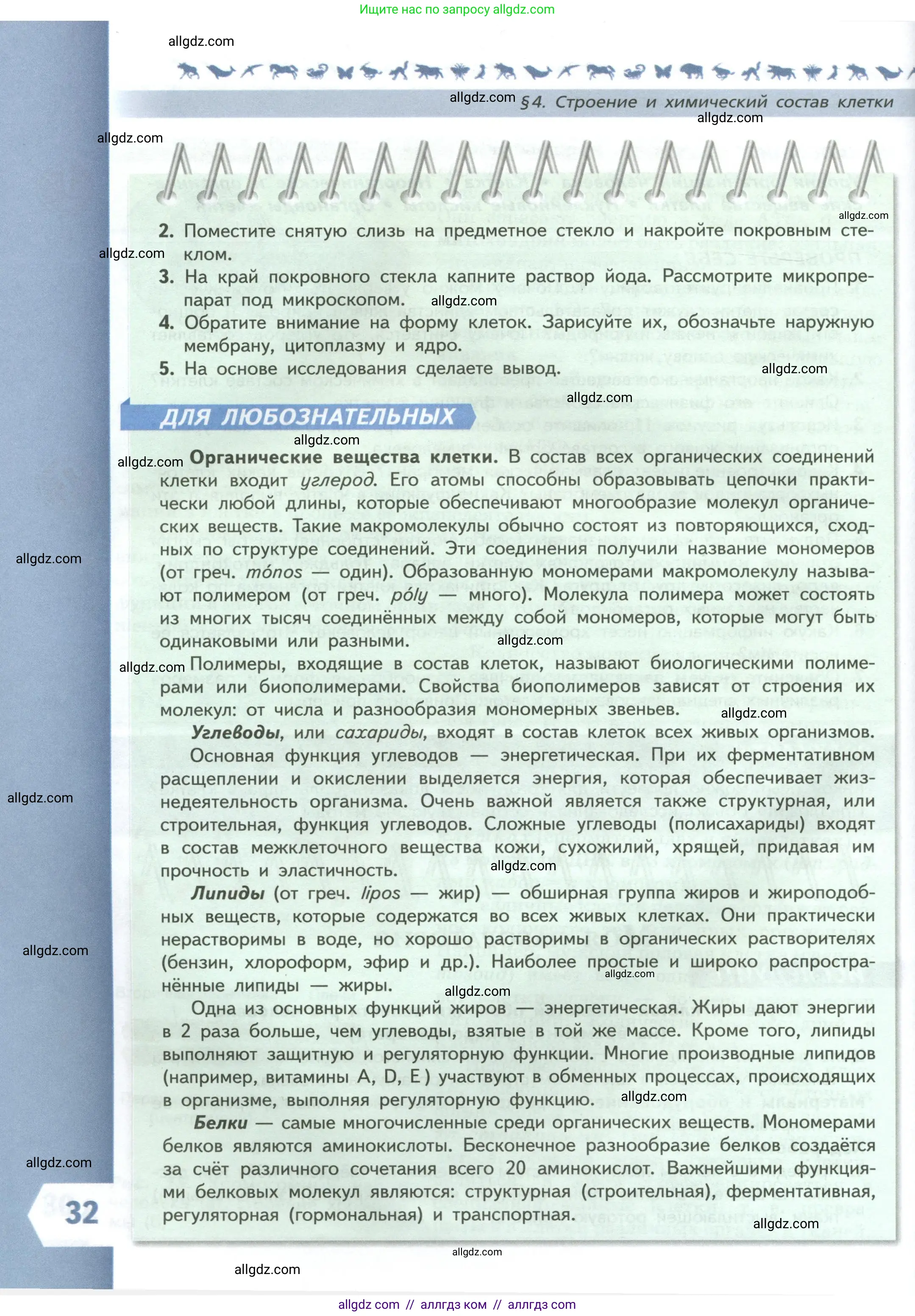 Биология, 9 класс Учебник, авторы: Пасечник Владимир Васильевич, Каменский Андрей Александрович, Швецов Глеб Геннадьевич, Гапонюк Зоя Георгиевна, издательство Просвещение, Москва, 2023, белого цвета, страница 32