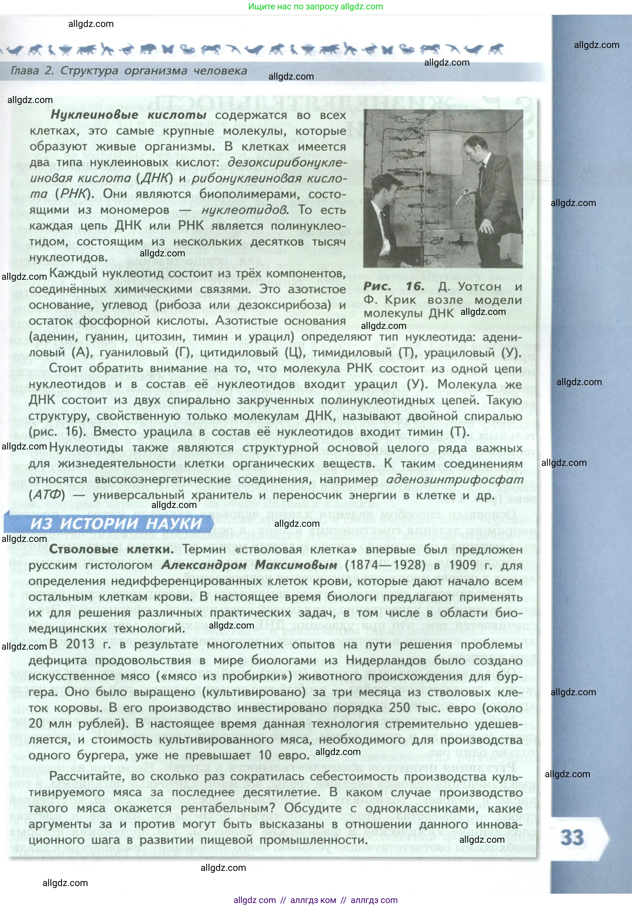 Биология, 9 класс Учебник, авторы: Пасечник Владимир Васильевич, Каменский Андрей Александрович, Швецов Глеб Геннадьевич, Гапонюк Зоя Георгиевна, издательство Просвещение, Москва, 2023, белого цвета, страница 33