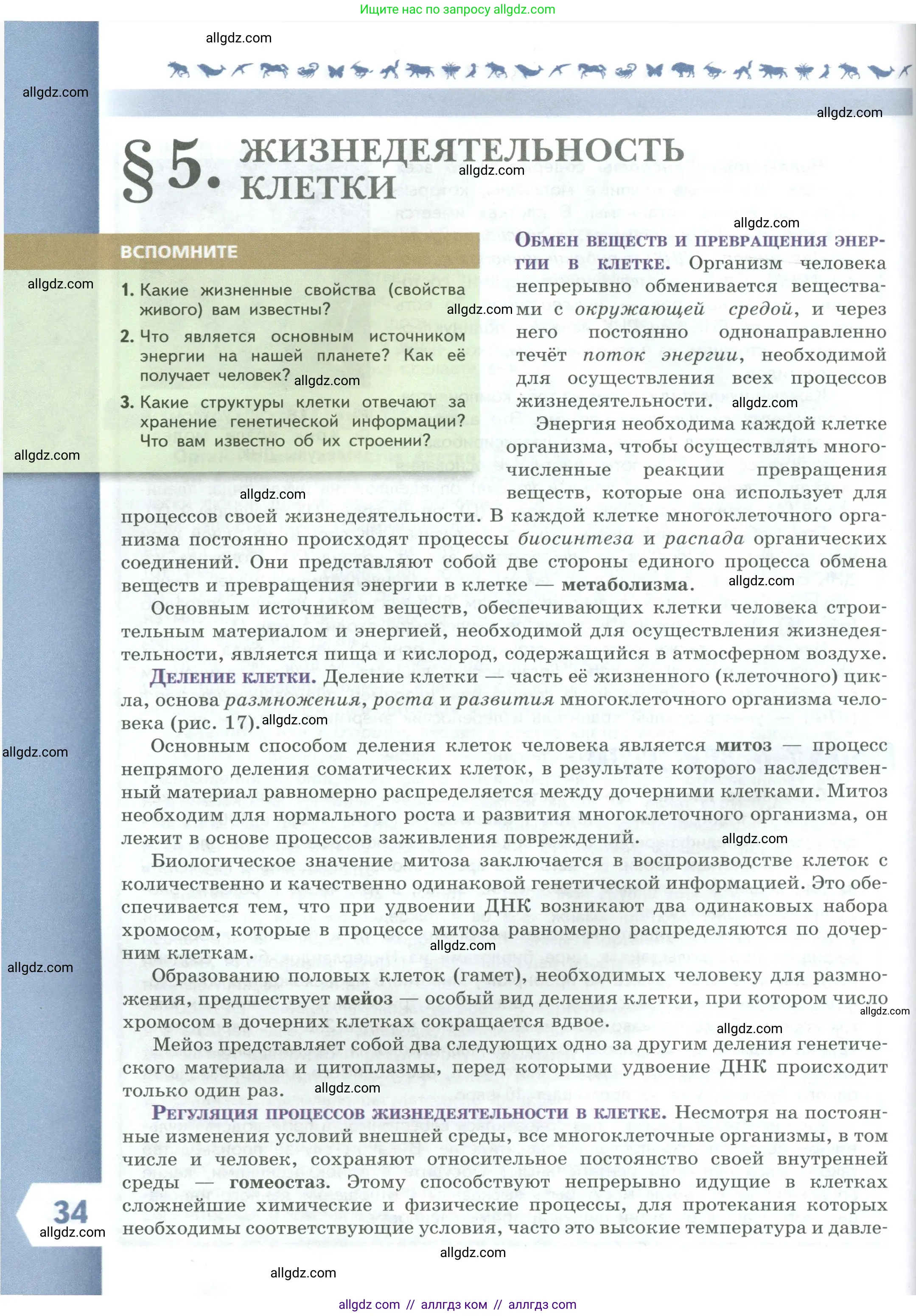 Биология, 9 класс Учебник, авторы: Пасечник Владимир Васильевич, Каменский Андрей Александрович, Швецов Глеб Геннадьевич, Гапонюк Зоя Георгиевна, издательство Просвещение, Москва, 2023, белого цвета, страница 34