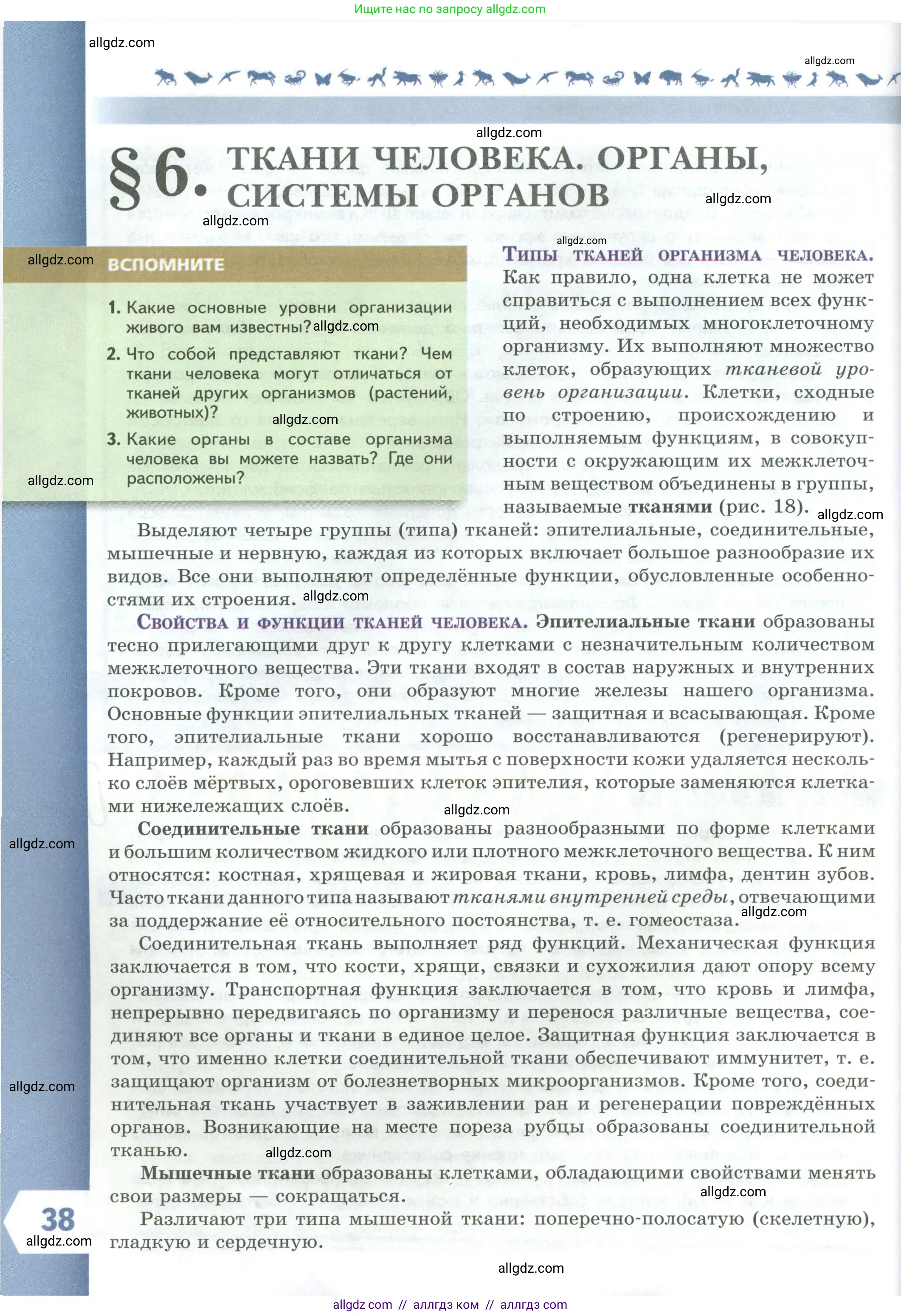Биология, 9 класс Учебник, авторы: Пасечник Владимир Васильевич, Каменский Андрей Александрович, Швецов Глеб Геннадьевич, Гапонюк Зоя Георгиевна, издательство Просвещение, Москва, 2023, белого цвета, страница 38