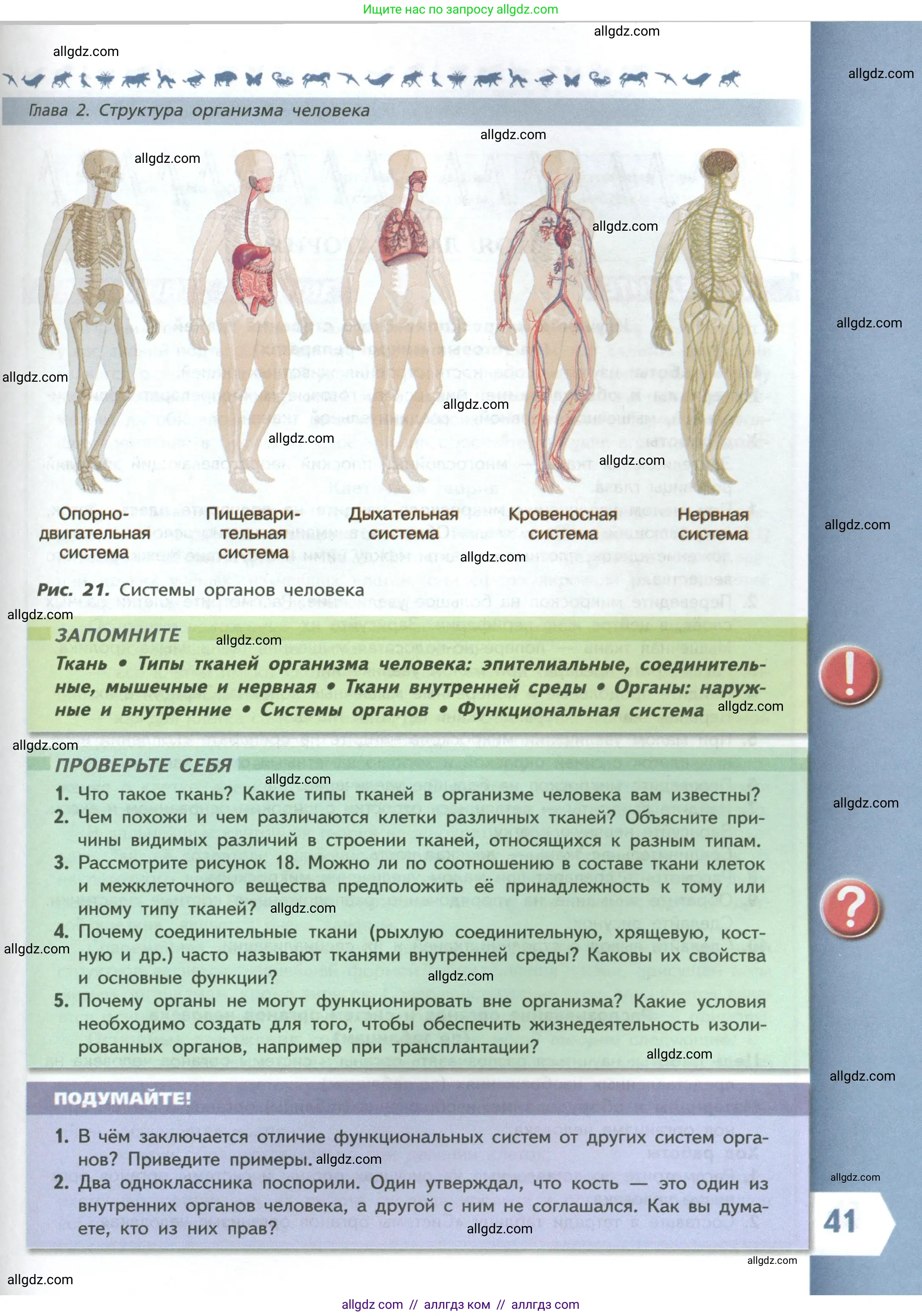 Биология, 9 класс Учебник, авторы: Пасечник Владимир Васильевич, Каменский Андрей Александрович, Швецов Глеб Геннадьевич, Гапонюк Зоя Георгиевна, издательство Просвещение, Москва, 2023, белого цвета, страница 41