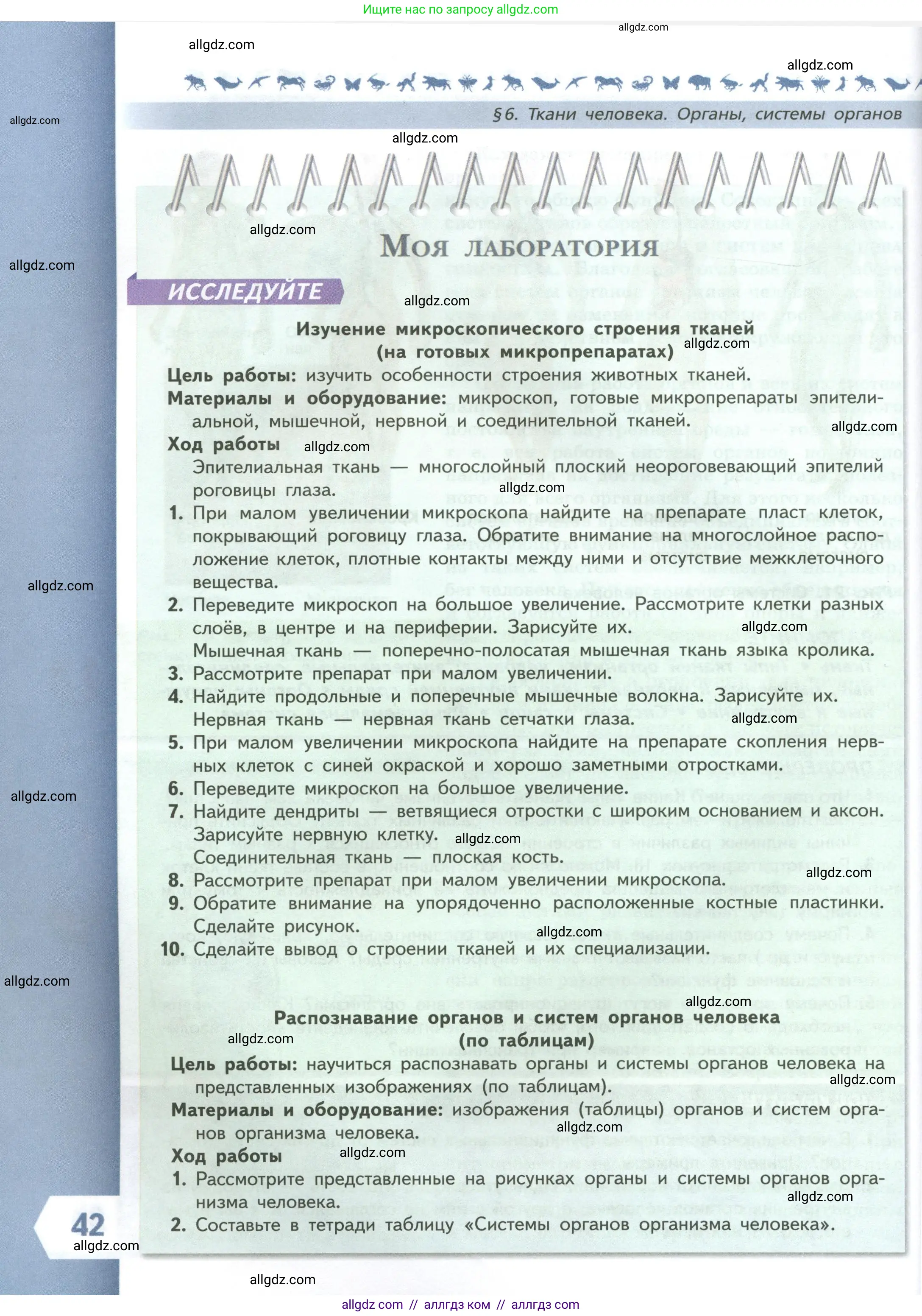 Биология, 9 класс Учебник, авторы: Пасечник Владимир Васильевич, Каменский Андрей Александрович, Швецов Глеб Геннадьевич, Гапонюк Зоя Георгиевна, издательство Просвещение, Москва, 2023, белого цвета, страница 42
