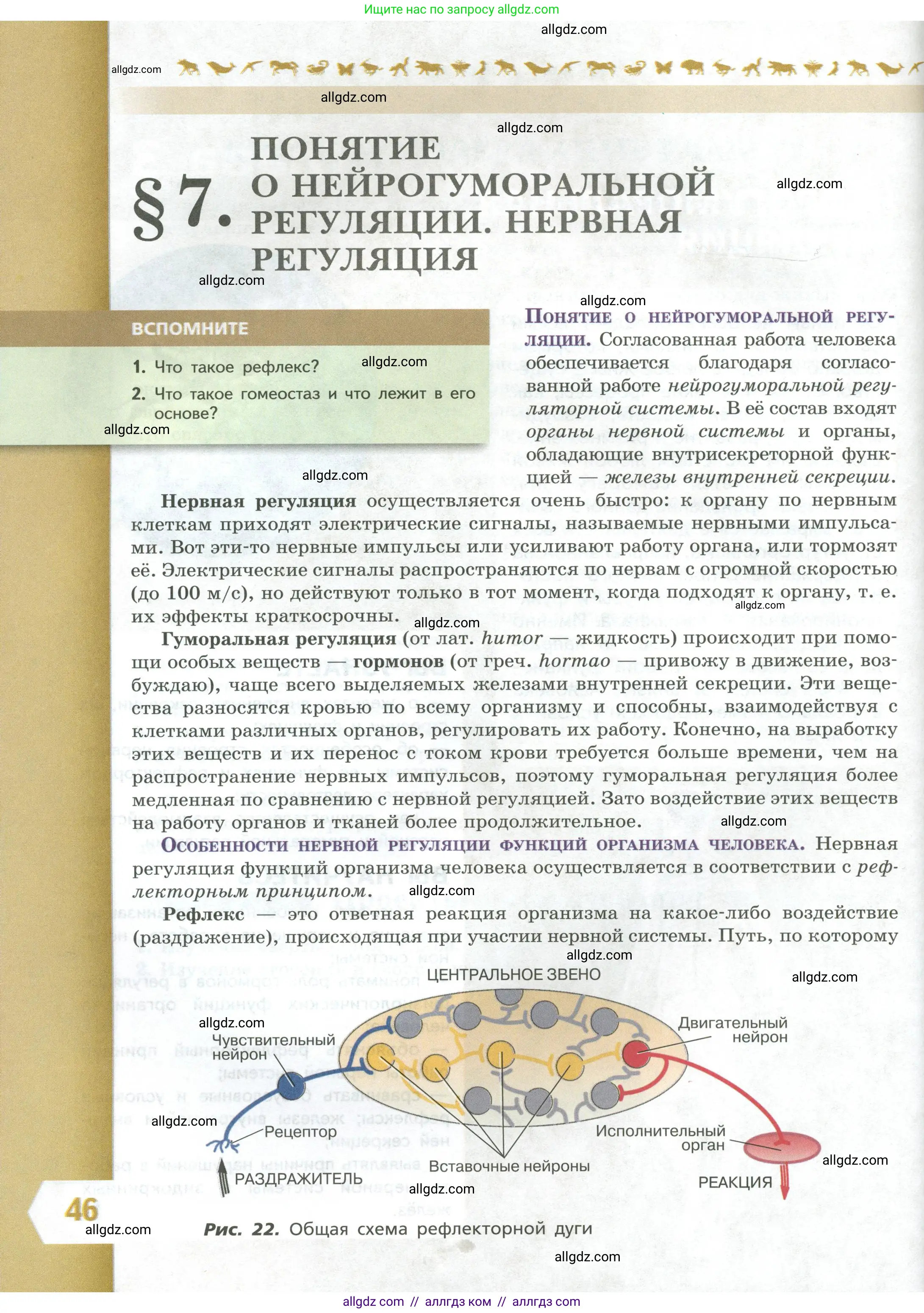 Биология, 9 класс Учебник, авторы: Пасечник Владимир Васильевич, Каменский Андрей Александрович, Швецов Глеб Геннадьевич, Гапонюк Зоя Георгиевна, издательство Просвещение, Москва, 2023, белого цвета, страница 46