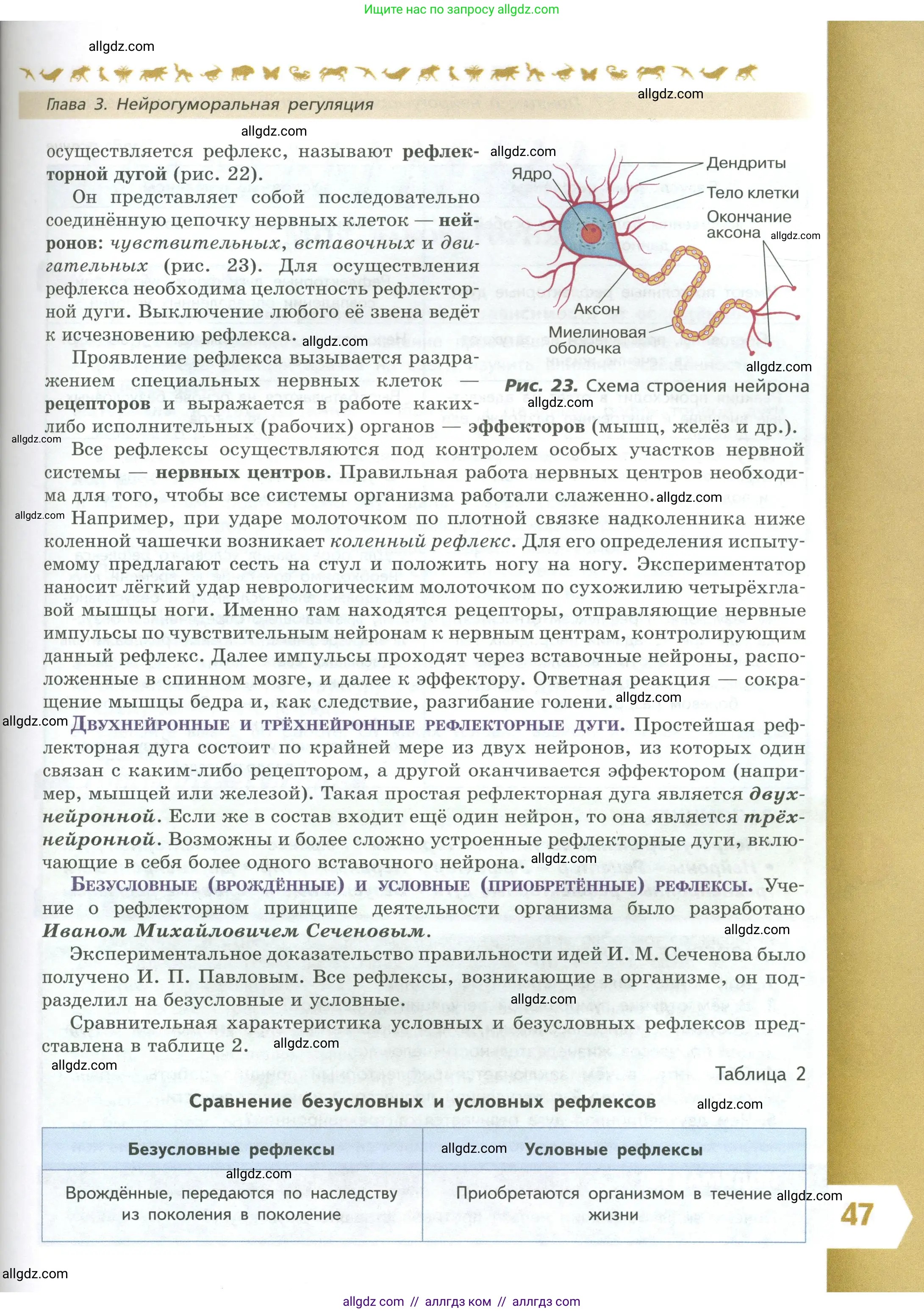 Биология, 9 класс Учебник, авторы: Пасечник Владимир Васильевич, Каменский Андрей Александрович, Швецов Глеб Геннадьевич, Гапонюк Зоя Георгиевна, издательство Просвещение, Москва, 2023, белого цвета, страница 47