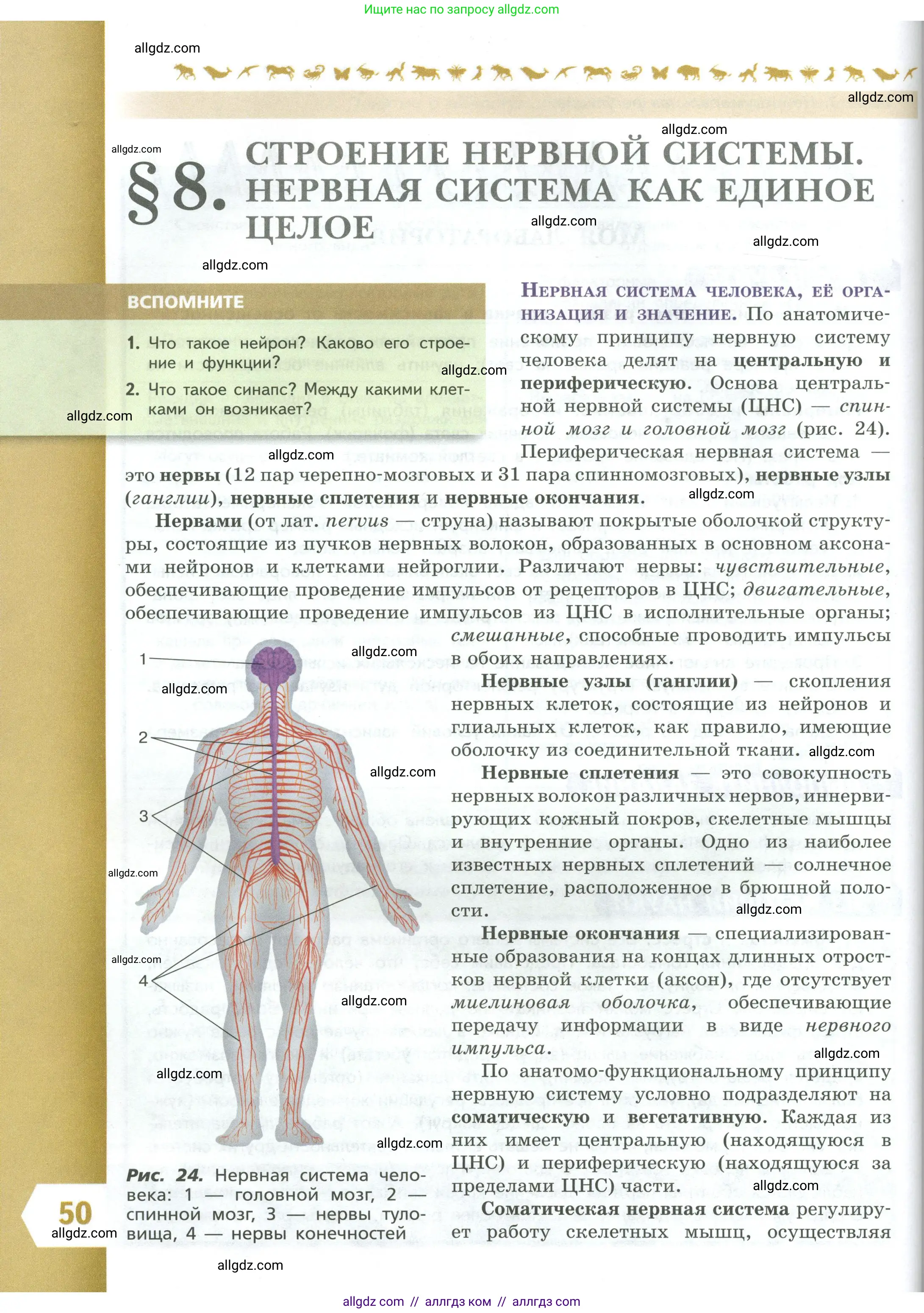 Биология, 9 класс Учебник, авторы: Пасечник Владимир Васильевич, Каменский Андрей Александрович, Швецов Глеб Геннадьевич, Гапонюк Зоя Георгиевна, издательство Просвещение, Москва, 2023, белого цвета, страница 50