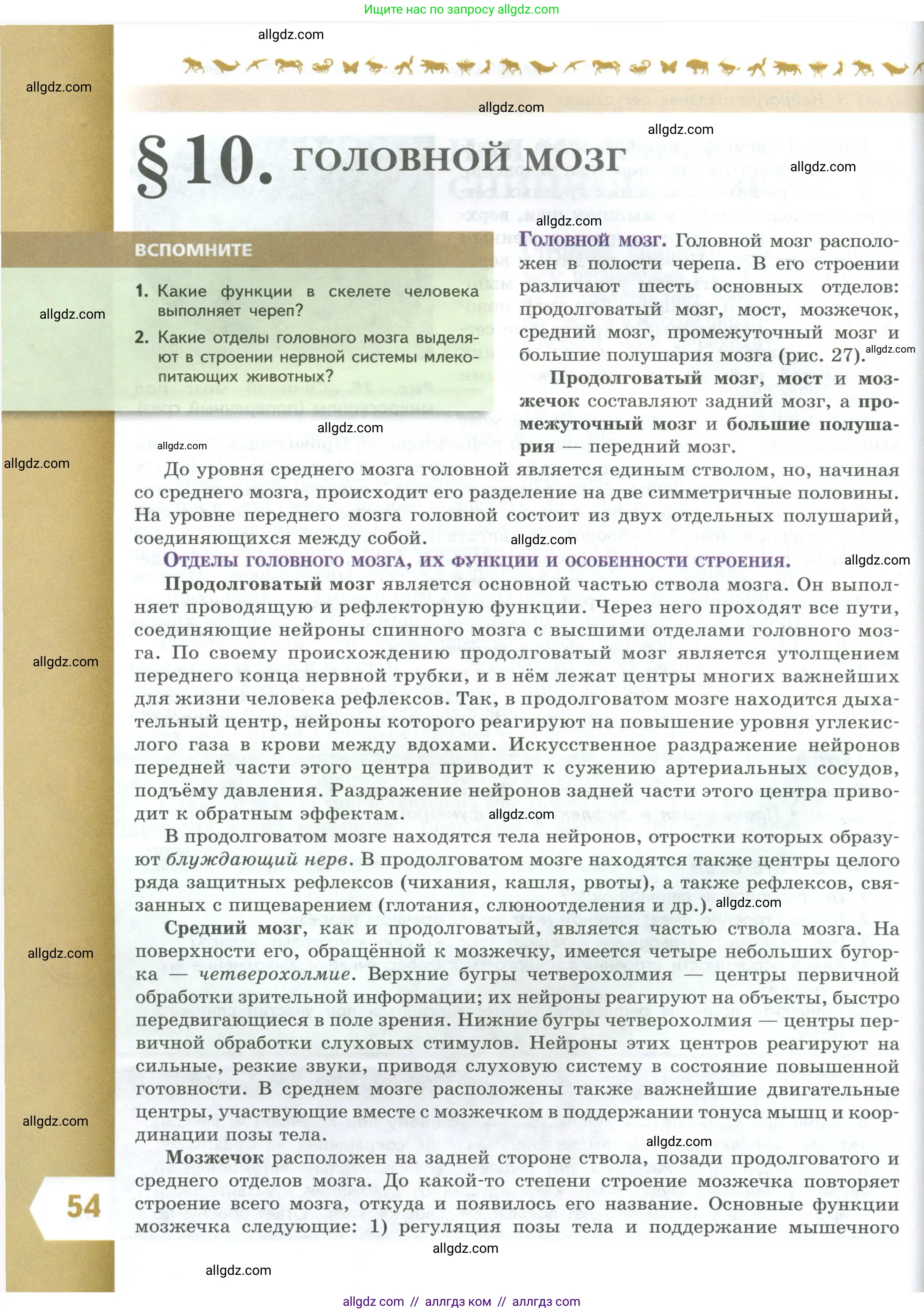 Биология, 9 класс Учебник, авторы: Пасечник Владимир Васильевич, Каменский Андрей Александрович, Швецов Глеб Геннадьевич, Гапонюк Зоя Георгиевна, издательство Просвещение, Москва, 2023, белого цвета, страница 54