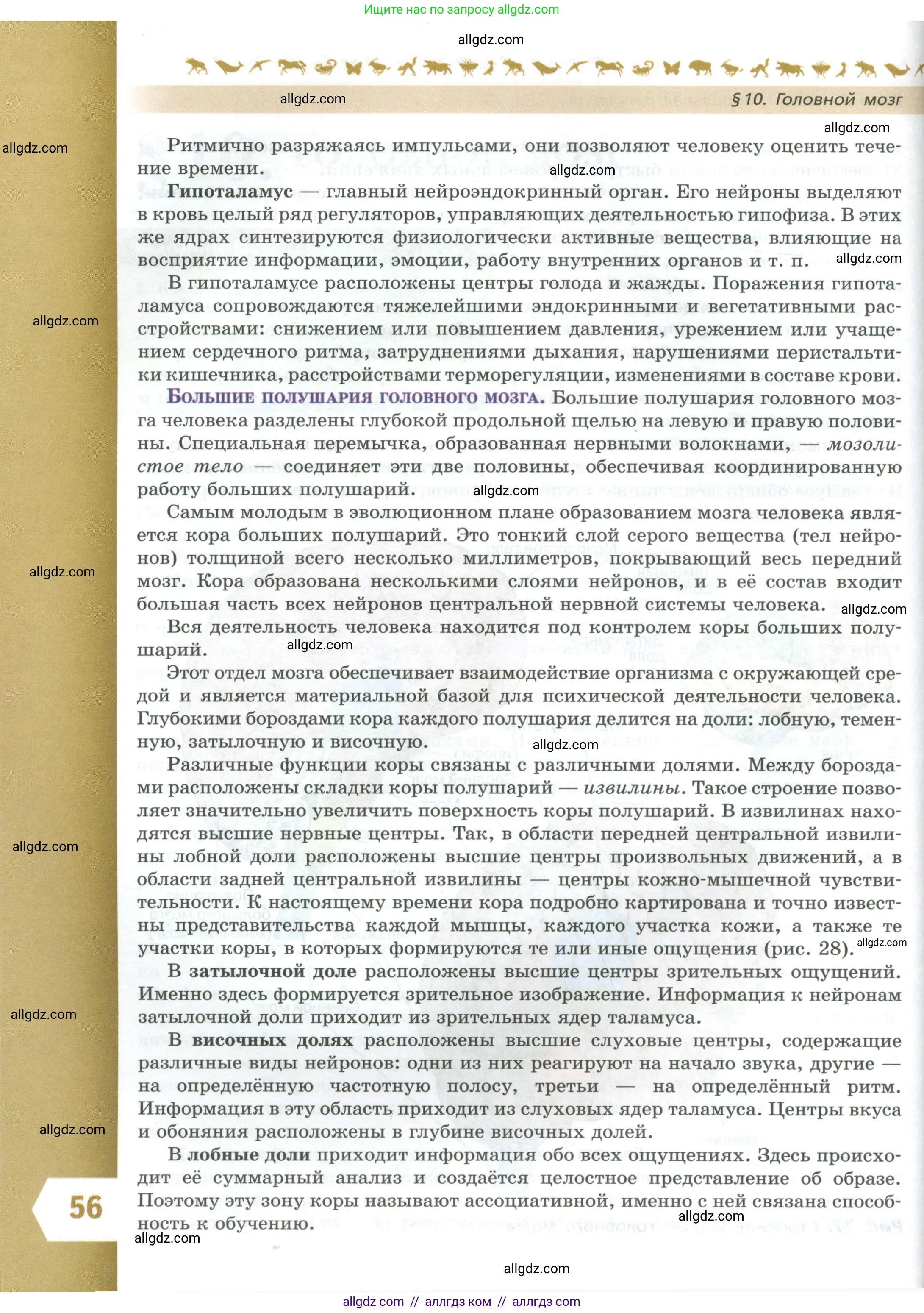 Биология, 9 класс Учебник, авторы: Пасечник Владимир Васильевич, Каменский Андрей Александрович, Швецов Глеб Геннадьевич, Гапонюк Зоя Георгиевна, издательство Просвещение, Москва, 2023, белого цвета, страница 56