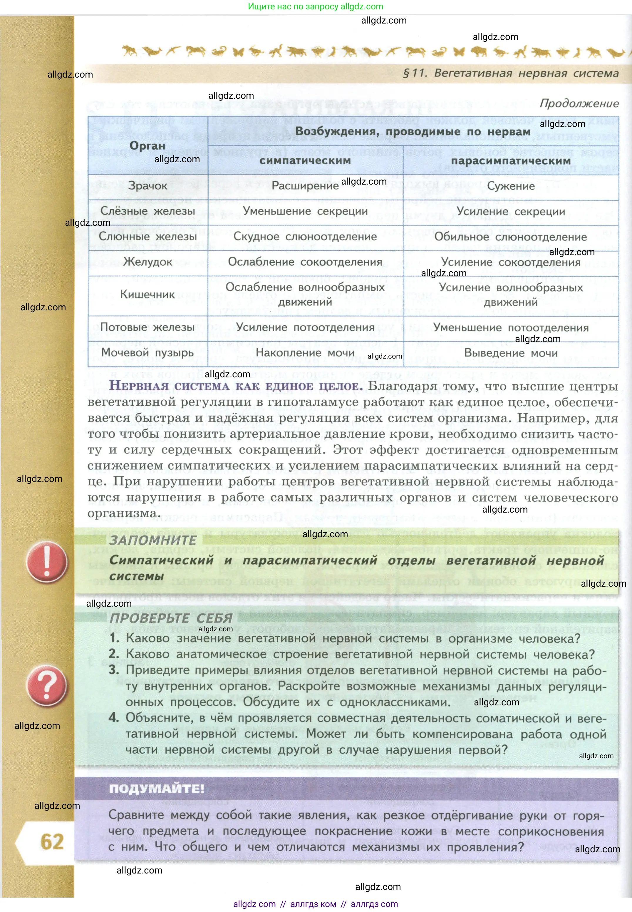Биология, 9 класс Учебник, авторы: Пасечник Владимир Васильевич, Каменский Андрей Александрович, Швецов Глеб Геннадьевич, Гапонюк Зоя Георгиевна, издательство Просвещение, Москва, 2023, белого цвета, страница 62