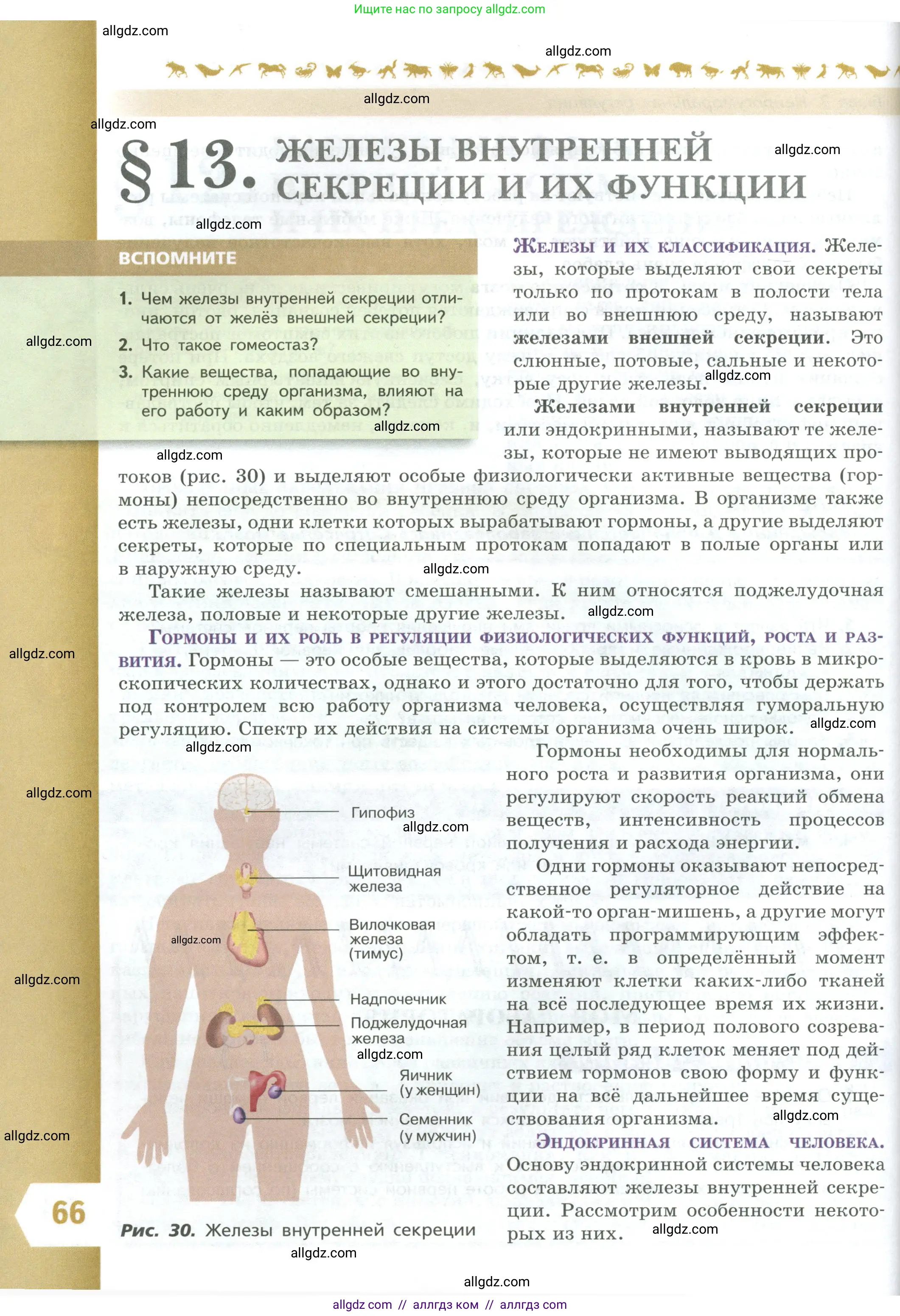 Биология, 9 класс Учебник, авторы: Пасечник Владимир Васильевич, Каменский Андрей Александрович, Швецов Глеб Геннадьевич, Гапонюк Зоя Георгиевна, издательство Просвещение, Москва, 2023, белого цвета, страница 66