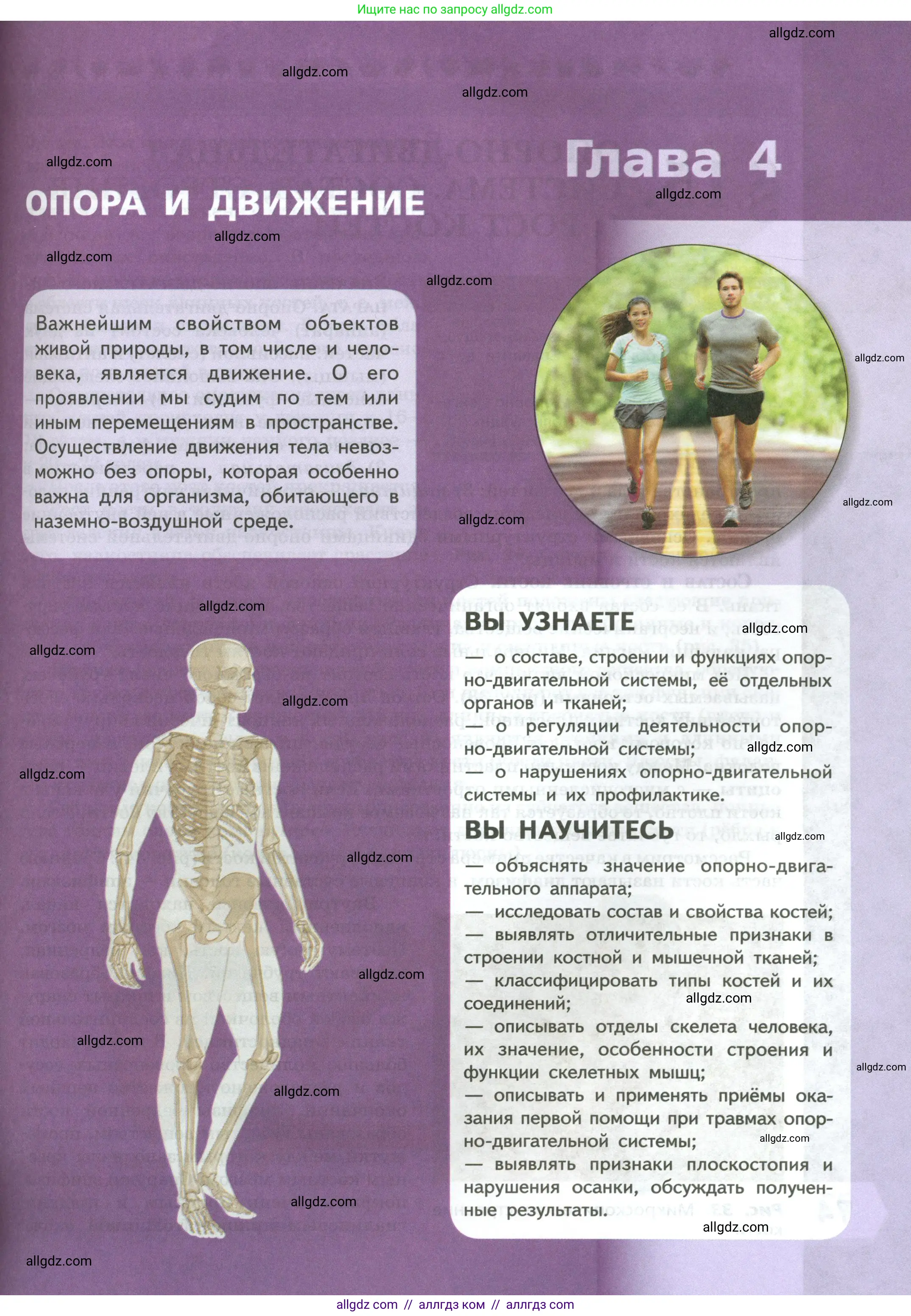 Биология, 9 класс Учебник, авторы: Пасечник Владимир Васильевич, Каменский Андрей Александрович, Швецов Глеб Геннадьевич, Гапонюк Зоя Георгиевна, издательство Просвещение, Москва, 2023, белого цвета, страница 73