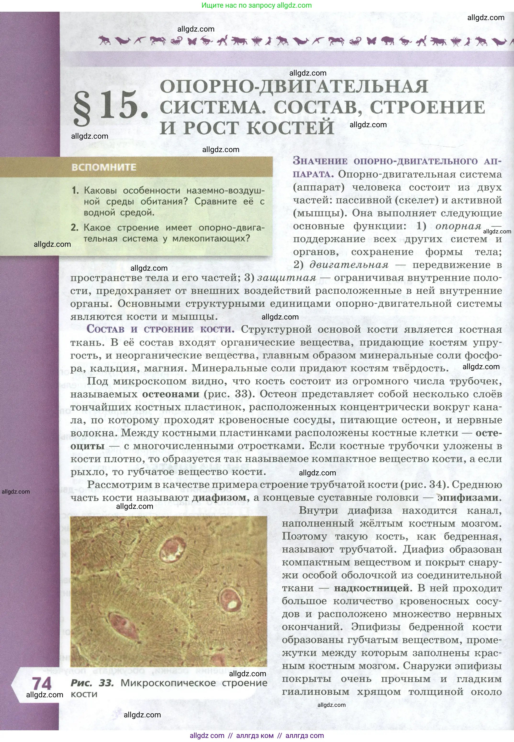 Биология, 9 класс Учебник, авторы: Пасечник Владимир Васильевич, Каменский Андрей Александрович, Швецов Глеб Геннадьевич, Гапонюк Зоя Георгиевна, издательство Просвещение, Москва, 2023, белого цвета, страница 74