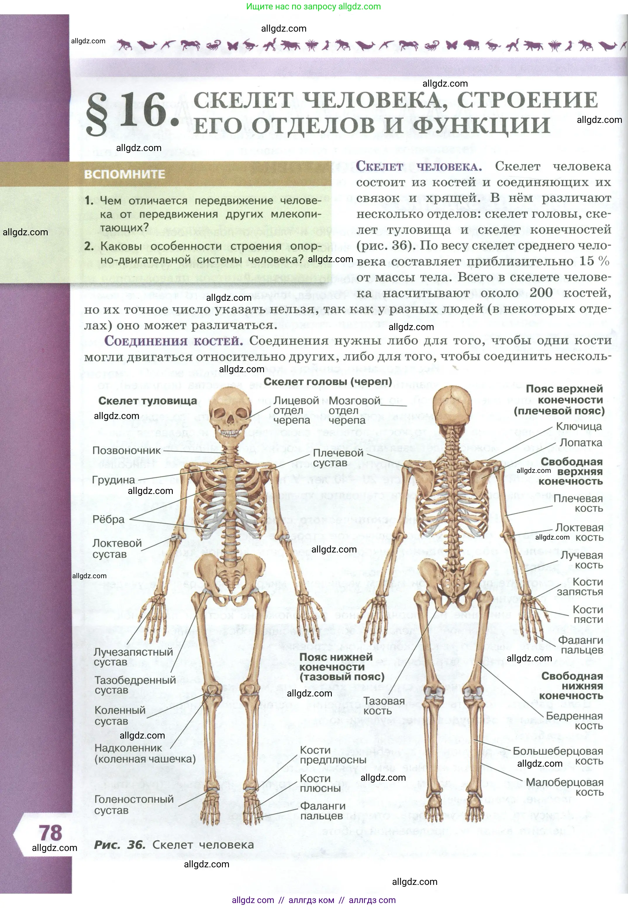 Биология, 9 класс Учебник, авторы: Пасечник Владимир Васильевич, Каменский Андрей Александрович, Швецов Глеб Геннадьевич, Гапонюк Зоя Георгиевна, издательство Просвещение, Москва, 2023, белого цвета, страница 78