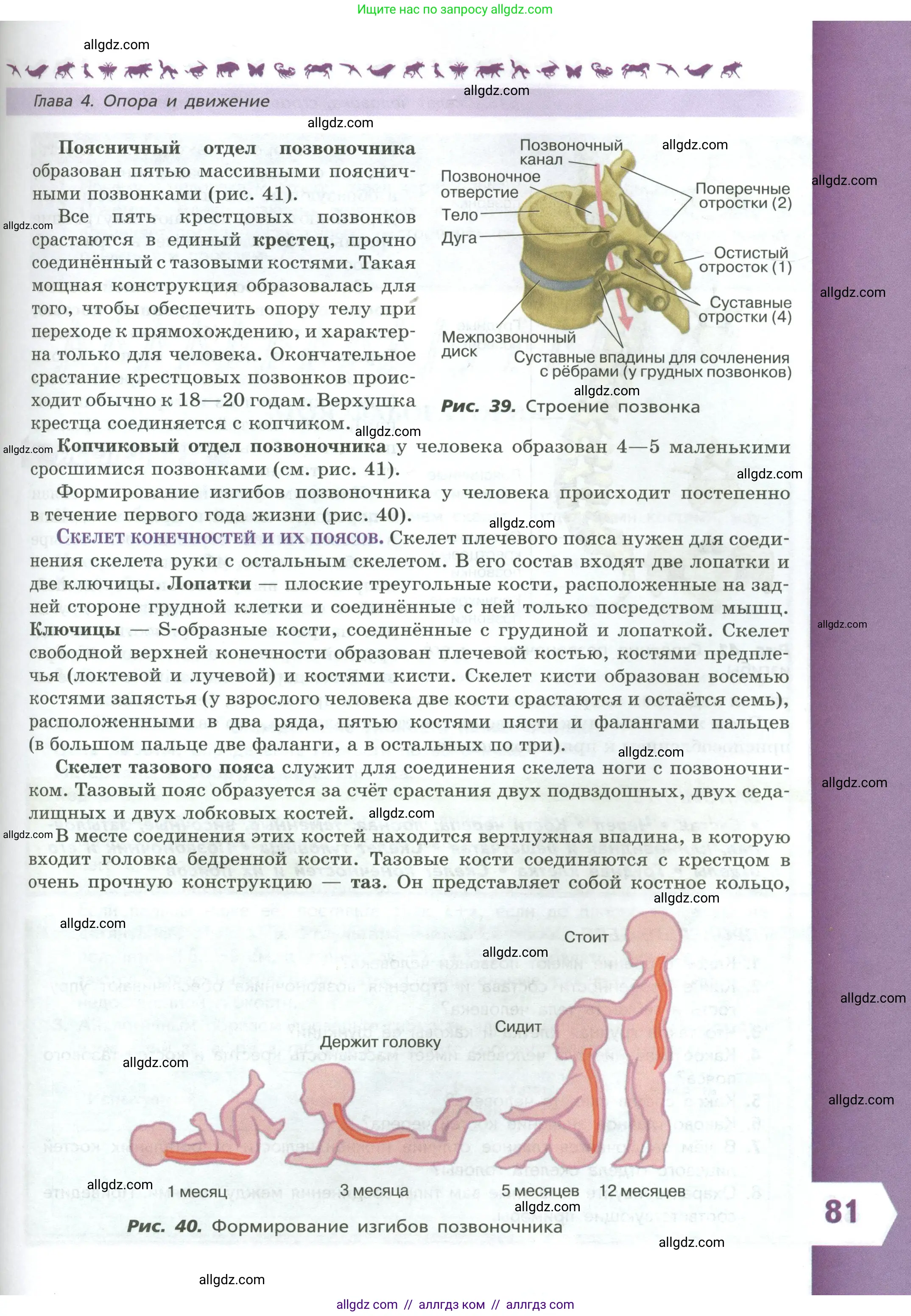 Биология, 9 класс Учебник, авторы: Пасечник Владимир Васильевич, Каменский Андрей Александрович, Швецов Глеб Геннадьевич, Гапонюк Зоя Георгиевна, издательство Просвещение, Москва, 2023, белого цвета, страница 81
