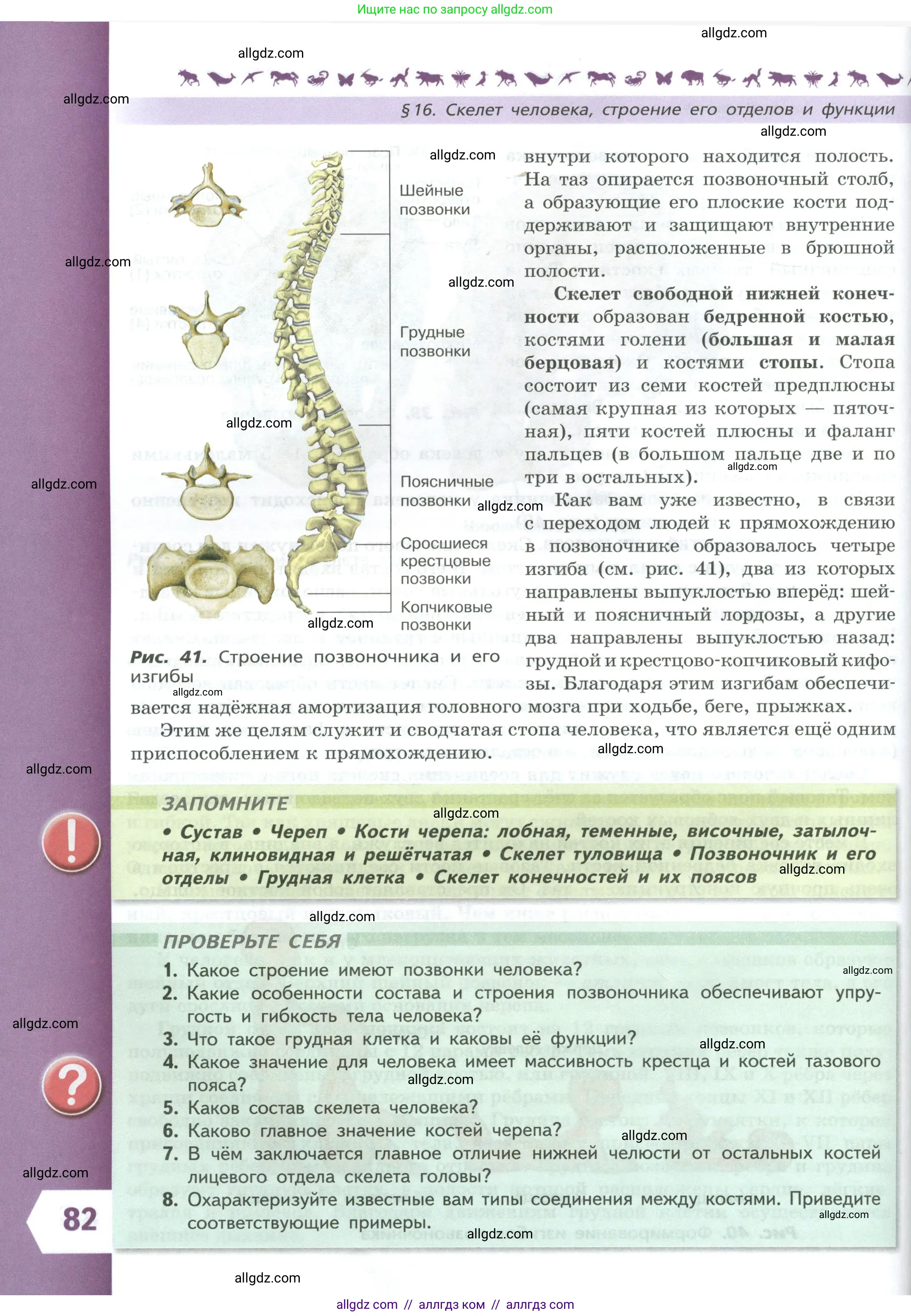 Биология, 9 класс Учебник, авторы: Пасечник Владимир Васильевич, Каменский Андрей Александрович, Швецов Глеб Геннадьевич, Гапонюк Зоя Георгиевна, издательство Просвещение, Москва, 2023, белого цвета, страница 82