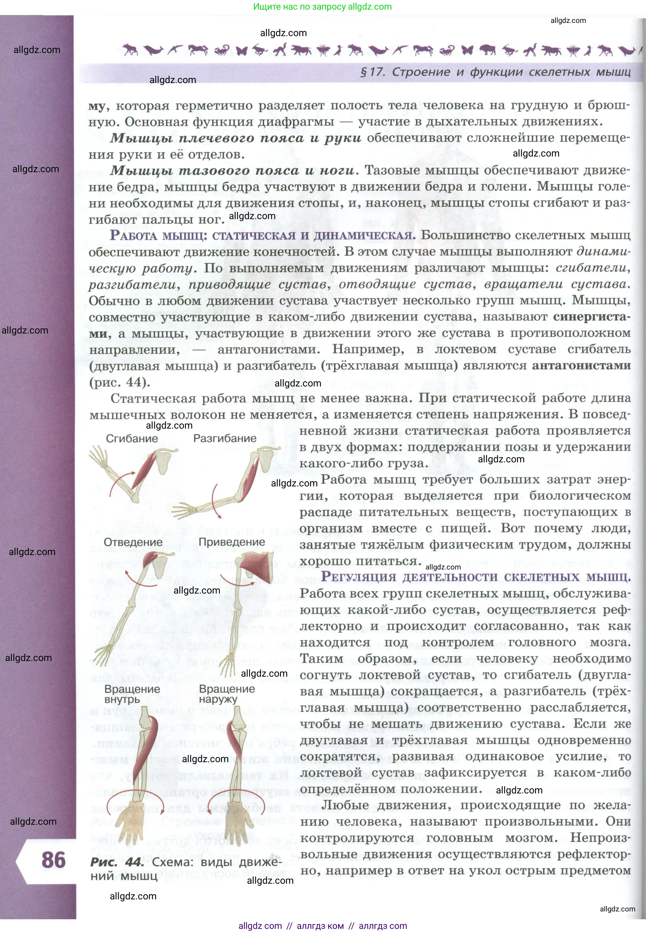 Биология, 9 класс Учебник, авторы: Пасечник Владимир Васильевич, Каменский Андрей Александрович, Швецов Глеб Геннадьевич, Гапонюк Зоя Георгиевна, издательство Просвещение, Москва, 2023, белого цвета, страница 86