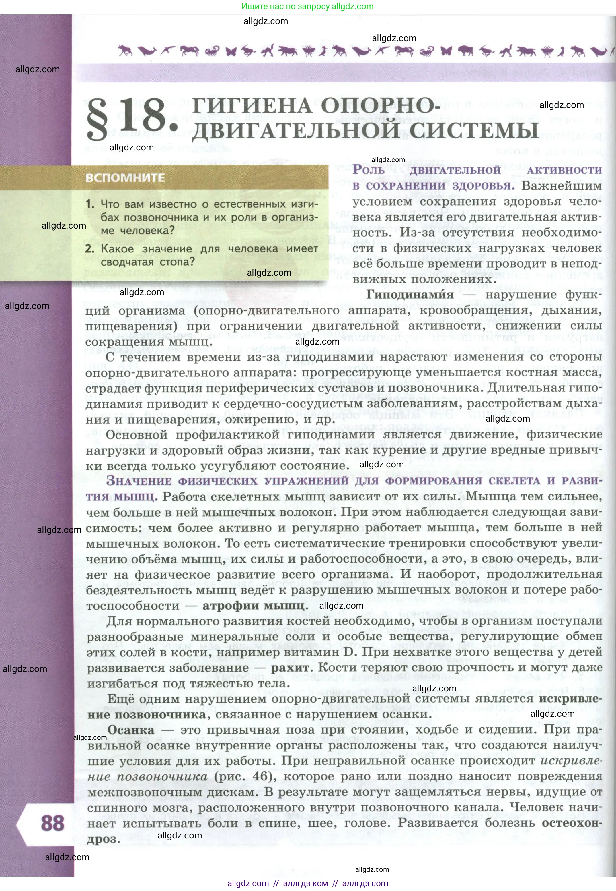 Биология, 9 класс Учебник, авторы: Пасечник Владимир Васильевич, Каменский Андрей Александрович, Швецов Глеб Геннадьевич, Гапонюк Зоя Георгиевна, издательство Просвещение, Москва, 2023, белого цвета, страница 88
