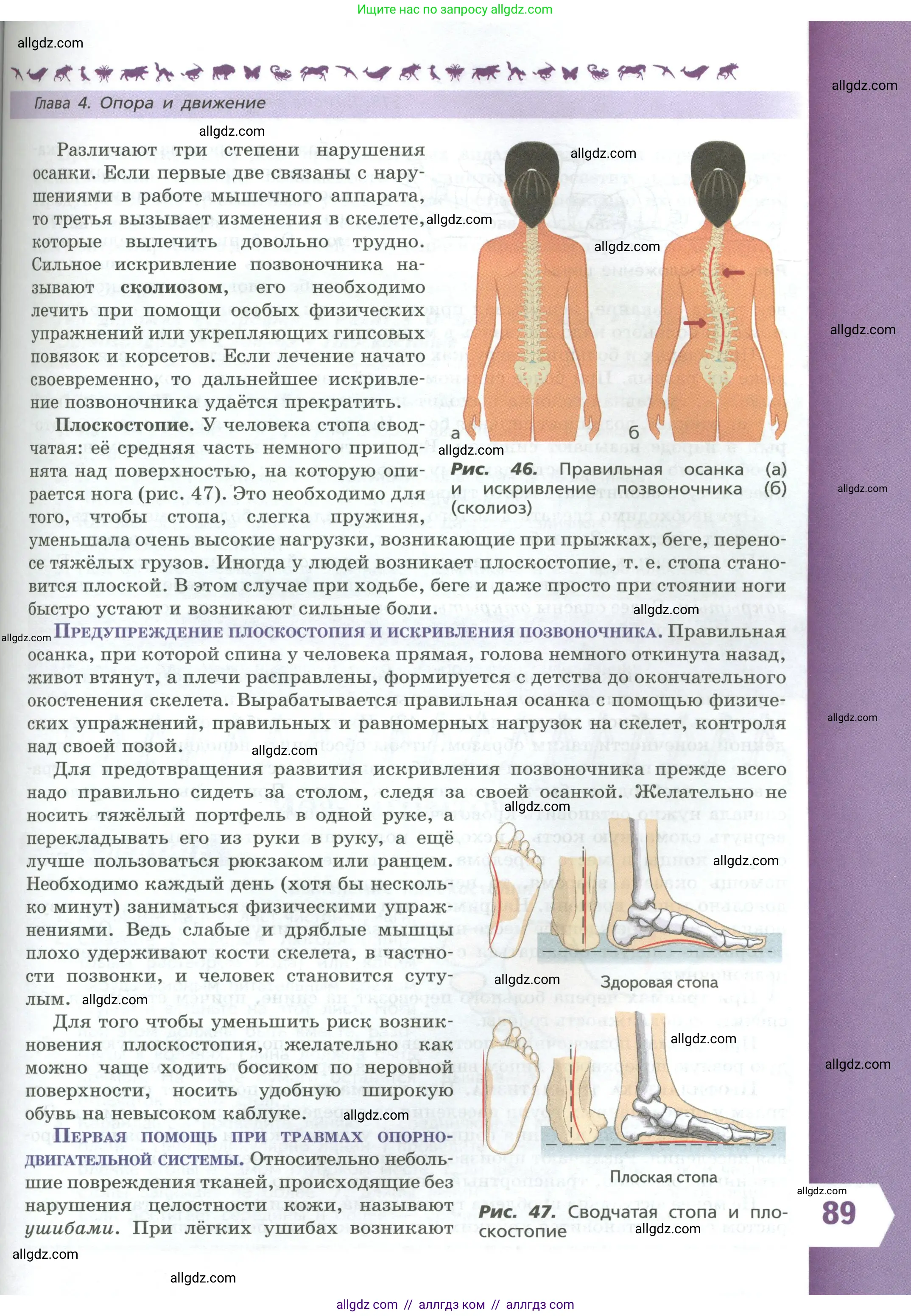 Биология, 9 класс Учебник, авторы: Пасечник Владимир Васильевич, Каменский Андрей Александрович, Швецов Глеб Геннадьевич, Гапонюк Зоя Георгиевна, издательство Просвещение, Москва, 2023, белого цвета, страница 89