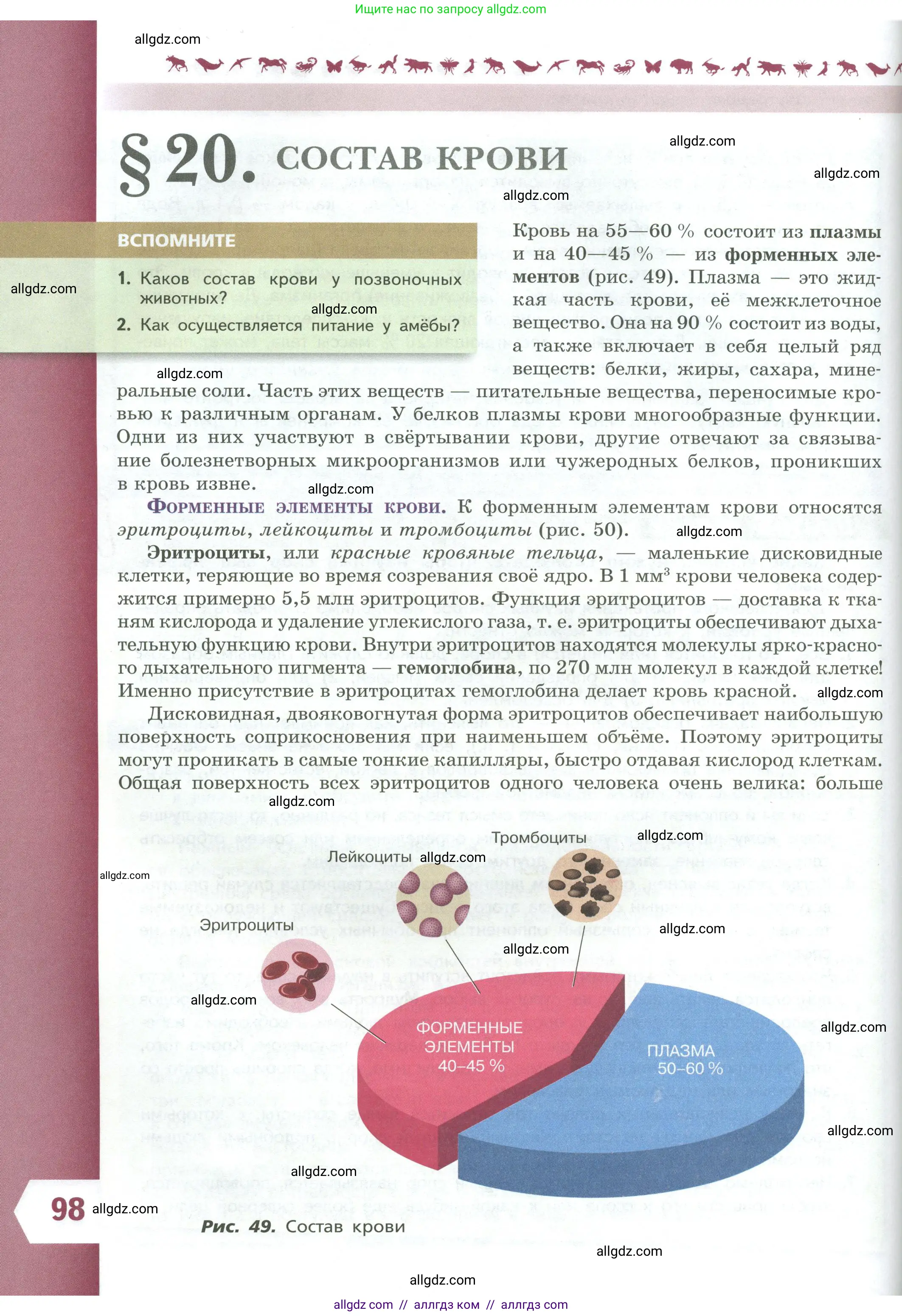 Биология, 9 класс Учебник, авторы: Пасечник Владимир Васильевич, Каменский Андрей Александрович, Швецов Глеб Геннадьевич, Гапонюк Зоя Георгиевна, издательство Просвещение, Москва, 2023, белого цвета, страница 98