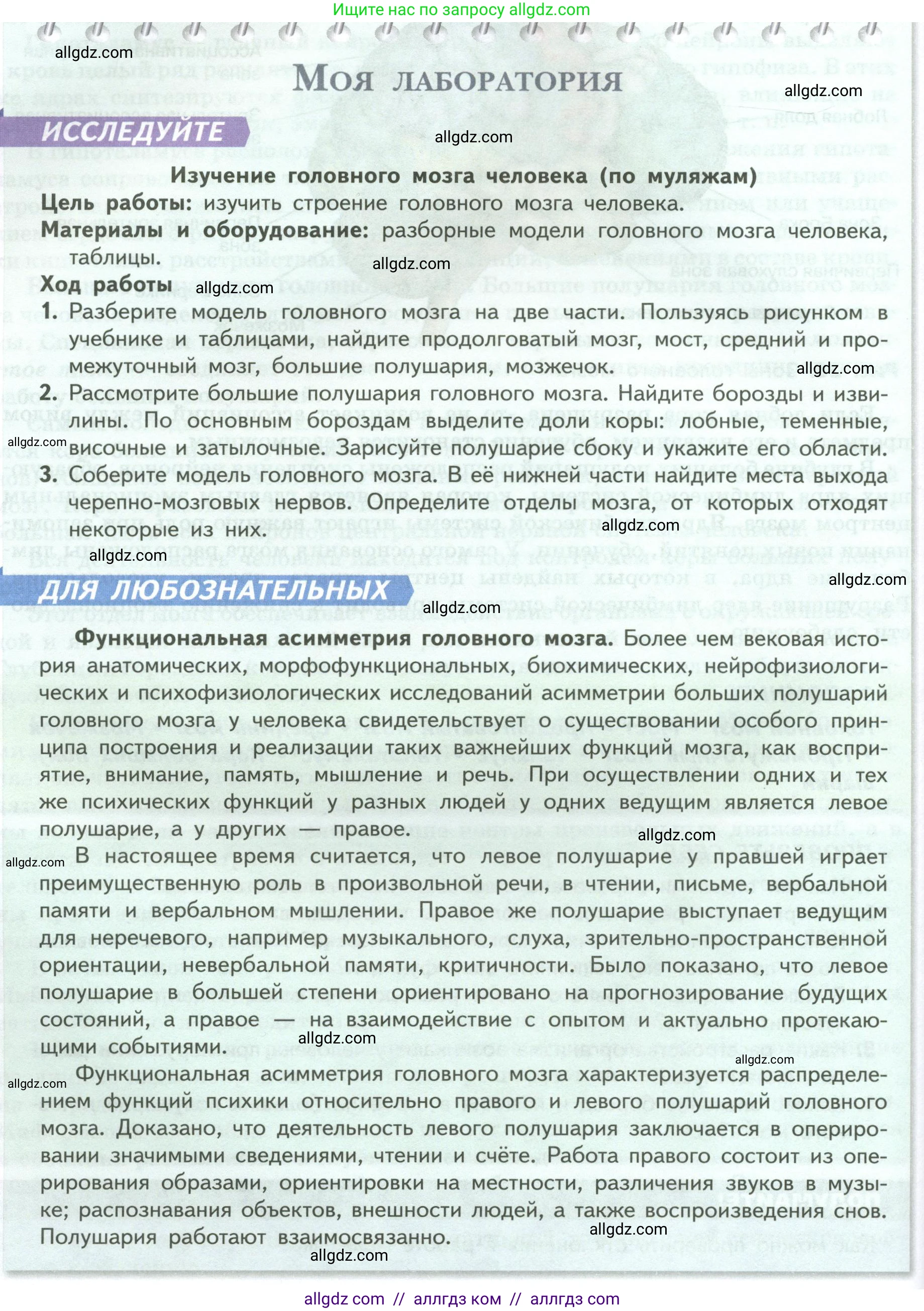 Биология, 9 класс Учебник, авторы: Пасечник Владимир Васильевич, Каменский Андрей Александрович, Швецов Глеб Геннадьевич, Гапонюк Зоя Георгиевна, издательство Просвещение, Москва, 2023, белого цвета, страница 58, Условие