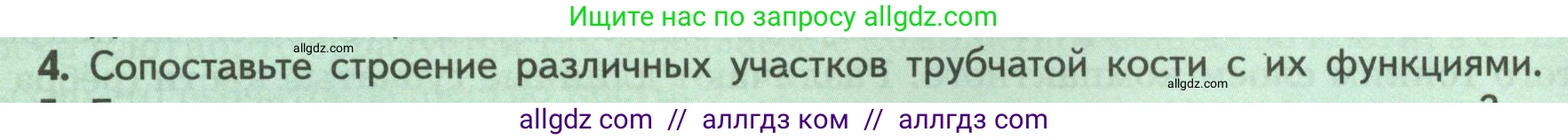 Биология, 9 класс Учебник, авторы: Пасечник Владимир Васильевич, Каменский Андрей Александрович, Швецов Глеб Геннадьевич, Гапонюк Зоя Георгиевна, издательство Просвещение, Москва, 2023, белого цвета, страница 76, номер 4, Условие