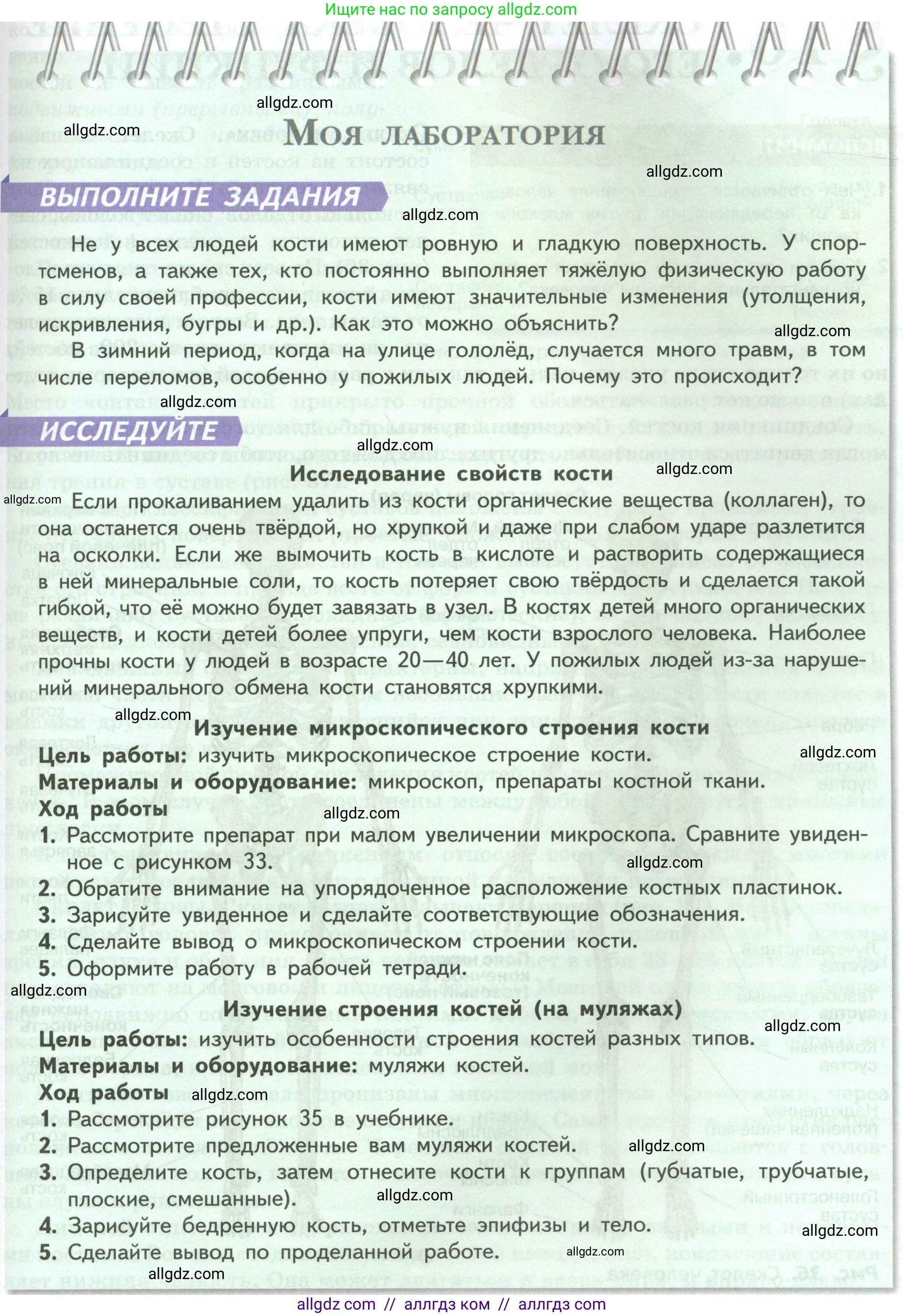 Биология, 9 класс Учебник, авторы: Пасечник Владимир Васильевич, Каменский Андрей Александрович, Швецов Глеб Геннадьевич, Гапонюк Зоя Георгиевна, издательство Просвещение, Москва, 2023, белого цвета, страница 77, Условие