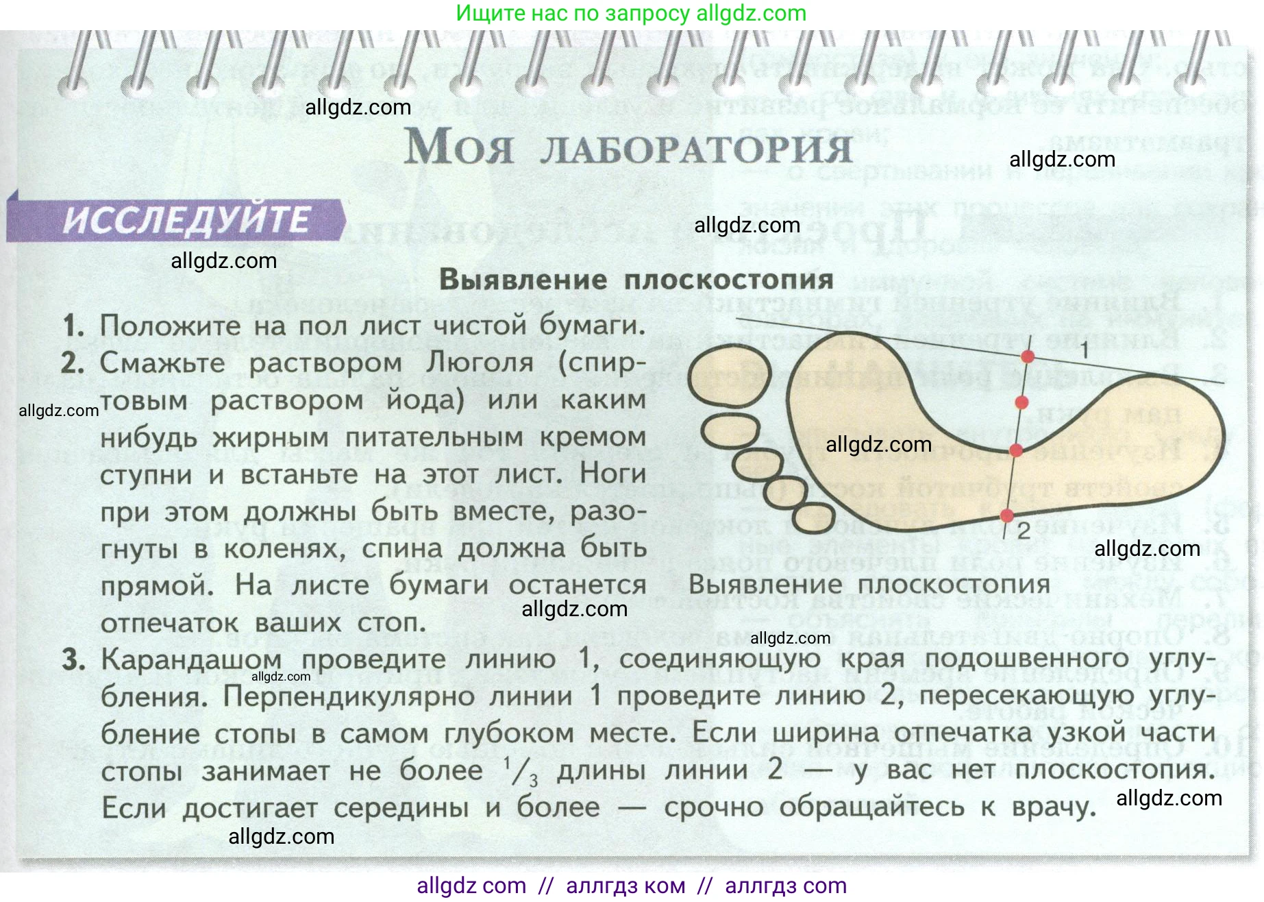 Биология, 9 класс Учебник, авторы: Пасечник Владимир Васильевич, Каменский Андрей Александрович, Швецов Глеб Геннадьевич, Гапонюк Зоя Георгиевна, издательство Просвещение, Москва, 2023, белого цвета, страница 91, Условие