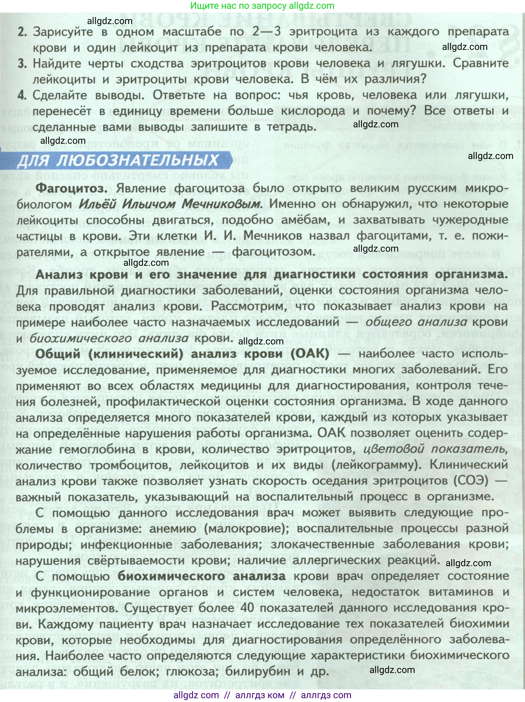 Биология, 9 класс Учебник, авторы: Пасечник Владимир Васильевич, Каменский Андрей Александрович, Швецов Глеб Геннадьевич, Гапонюк Зоя Георгиевна, издательство Просвещение, Москва, 2023, белого цвета, страница 100, Условие (продолжение 2)