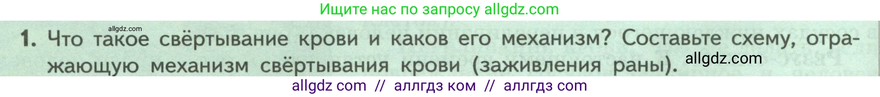 Биология, 9 класс Учебник, авторы: Пасечник Владимир Васильевич, Каменский Андрей Александрович, Швецов Глеб Геннадьевич, Гапонюк Зоя Георгиевна, издательство Просвещение, Москва, 2023, белого цвета, страница 104, номер 1, Условие