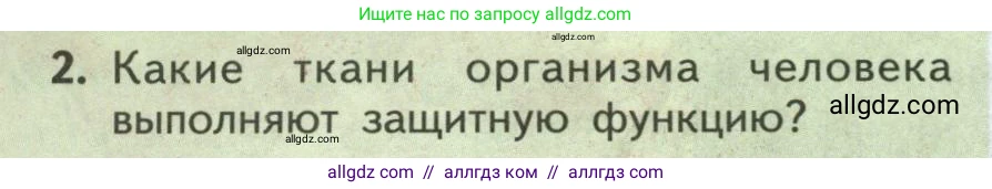 Биология, 9 класс Учебник, авторы: Пасечник Владимир Васильевич, Каменский Андрей Александрович, Швецов Глеб Геннадьевич, Гапонюк Зоя Георгиевна, издательство Просвещение, Москва, 2023, белого цвета, страница 176, номер 2, Условие