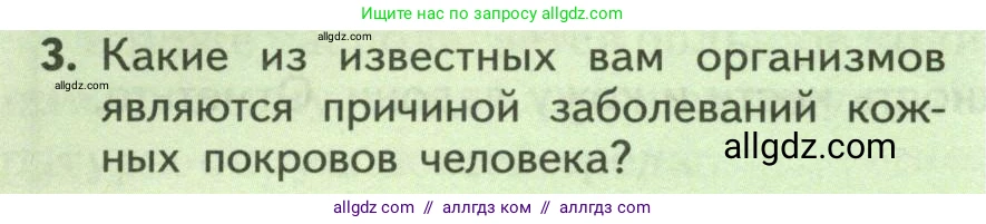 Биология, 9 класс Учебник, авторы: Пасечник Владимир Васильевич, Каменский Андрей Александрович, Швецов Глеб Геннадьевич, Гапонюк Зоя Георгиевна, издательство Просвещение, Москва, 2023, белого цвета, страница 180, номер 3, Условие