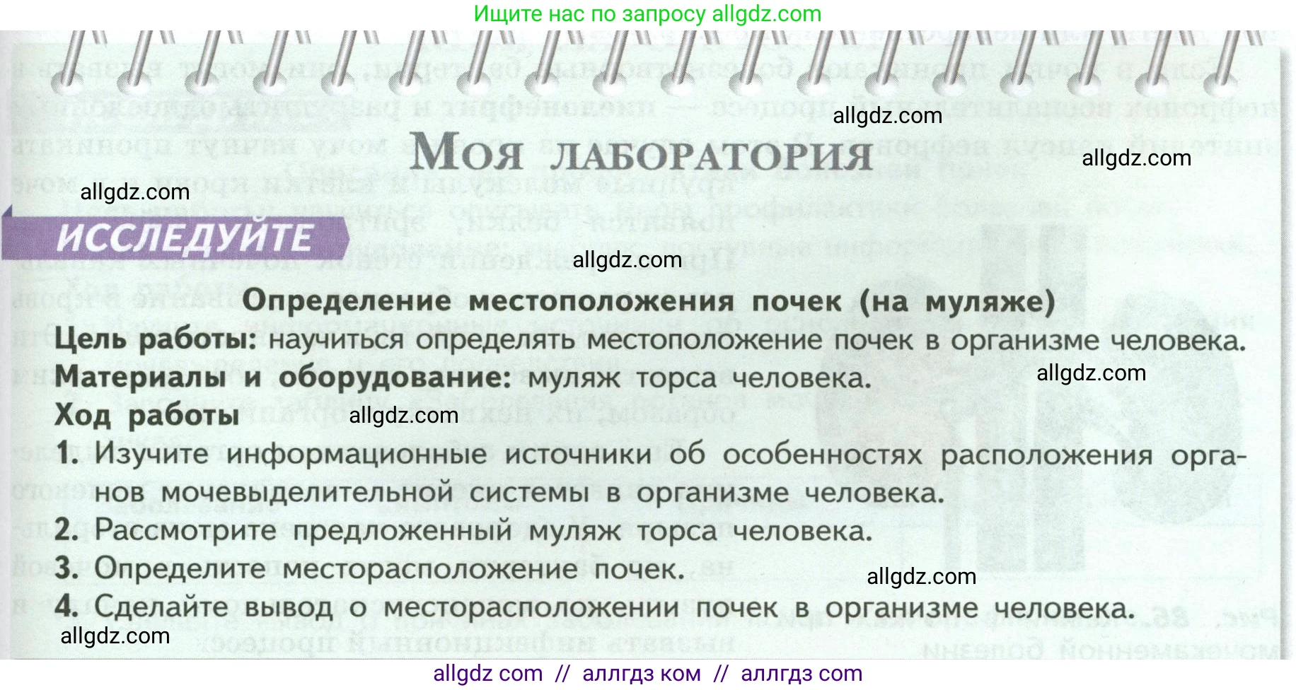 Биология, 9 класс Учебник, авторы: Пасечник Владимир Васильевич, Каменский Андрей Александрович, Швецов Глеб Геннадьевич, Гапонюк Зоя Георгиевна, издательство Просвещение, Москва, 2023, белого цвета, страница 191, Условие