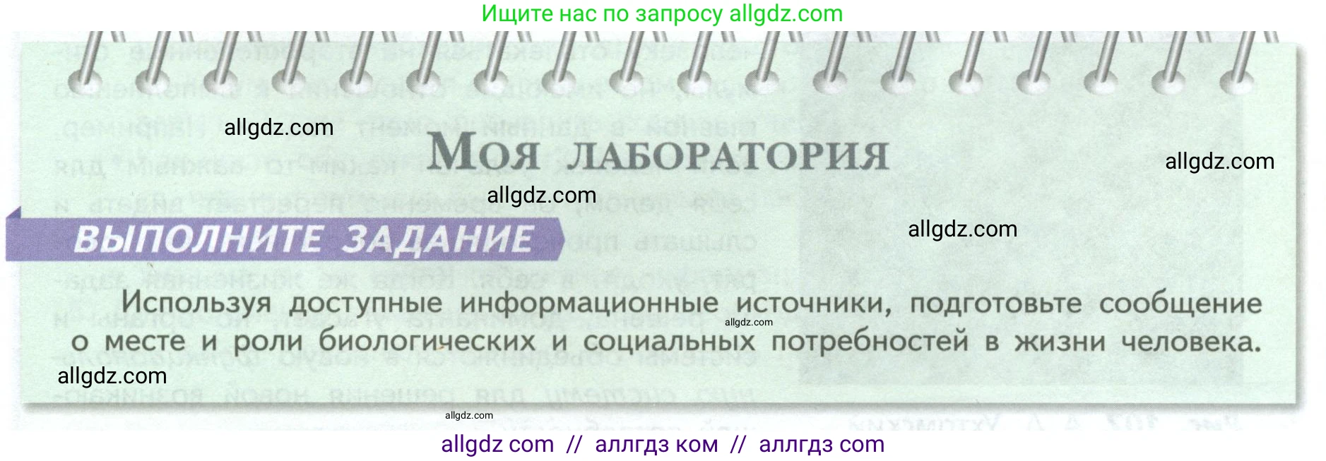 Биология, 9 класс Учебник, авторы: Пасечник Владимир Васильевич, Каменский Андрей Александрович, Швецов Глеб Геннадьевич, Гапонюк Зоя Георгиевна, издательство Просвещение, Москва, 2023, белого цвета, страница 229, Условие