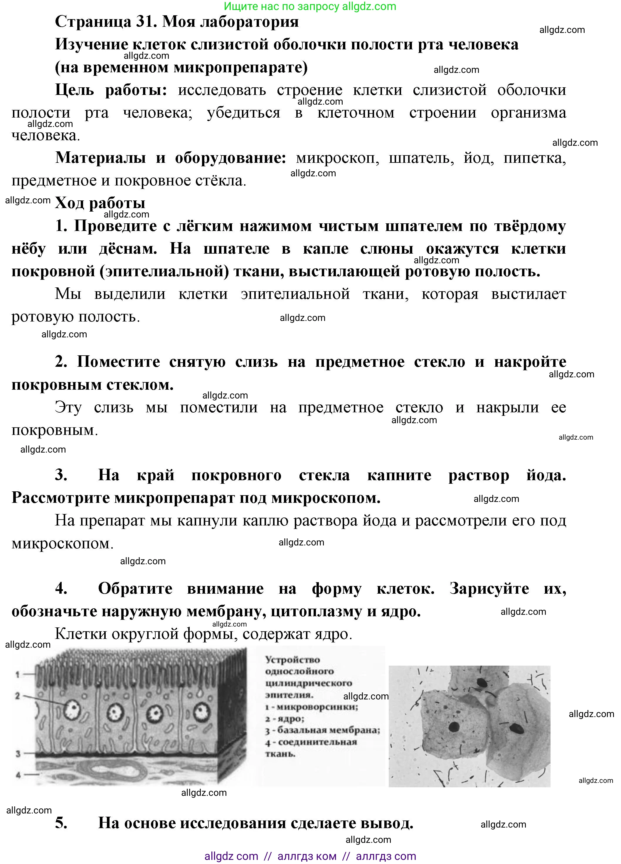 Биология, 9 класс Учебник, авторы: Пасечник Владимир Васильевич, Каменский Андрей Александрович, Швецов Глеб Геннадьевич, Гапонюк Зоя Георгиевна, издательство Просвещение, Москва, 2023, белого цвета, страница 31, Решение