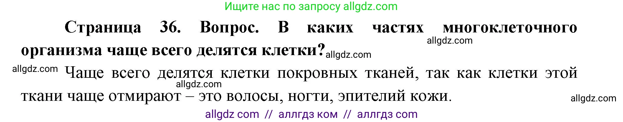 Биология, 9 класс Учебник, авторы: Пасечник Владимир Васильевич, Каменский Андрей Александрович, Швецов Глеб Геннадьевич, Гапонюк Зоя Георгиевна, издательство Просвещение, Москва, 2023, белого цвета, страница 36, Решение