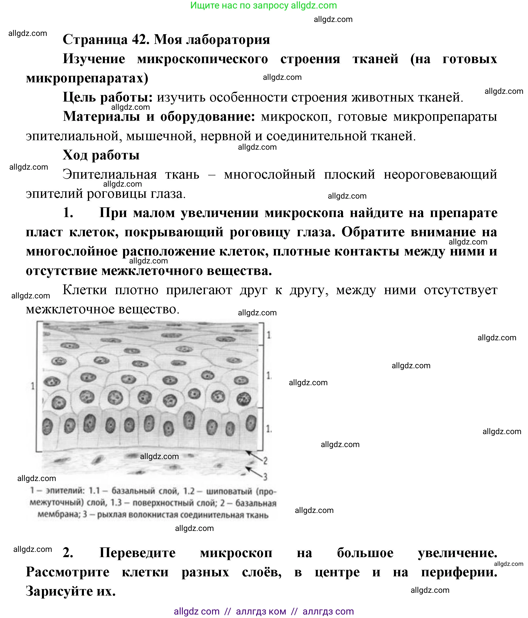 Биология, 9 класс Учебник, авторы: Пасечник Владимир Васильевич, Каменский Андрей Александрович, Швецов Глеб Геннадьевич, Гапонюк Зоя Георгиевна, издательство Просвещение, Москва, 2023, белого цвета, страница 42, Решение