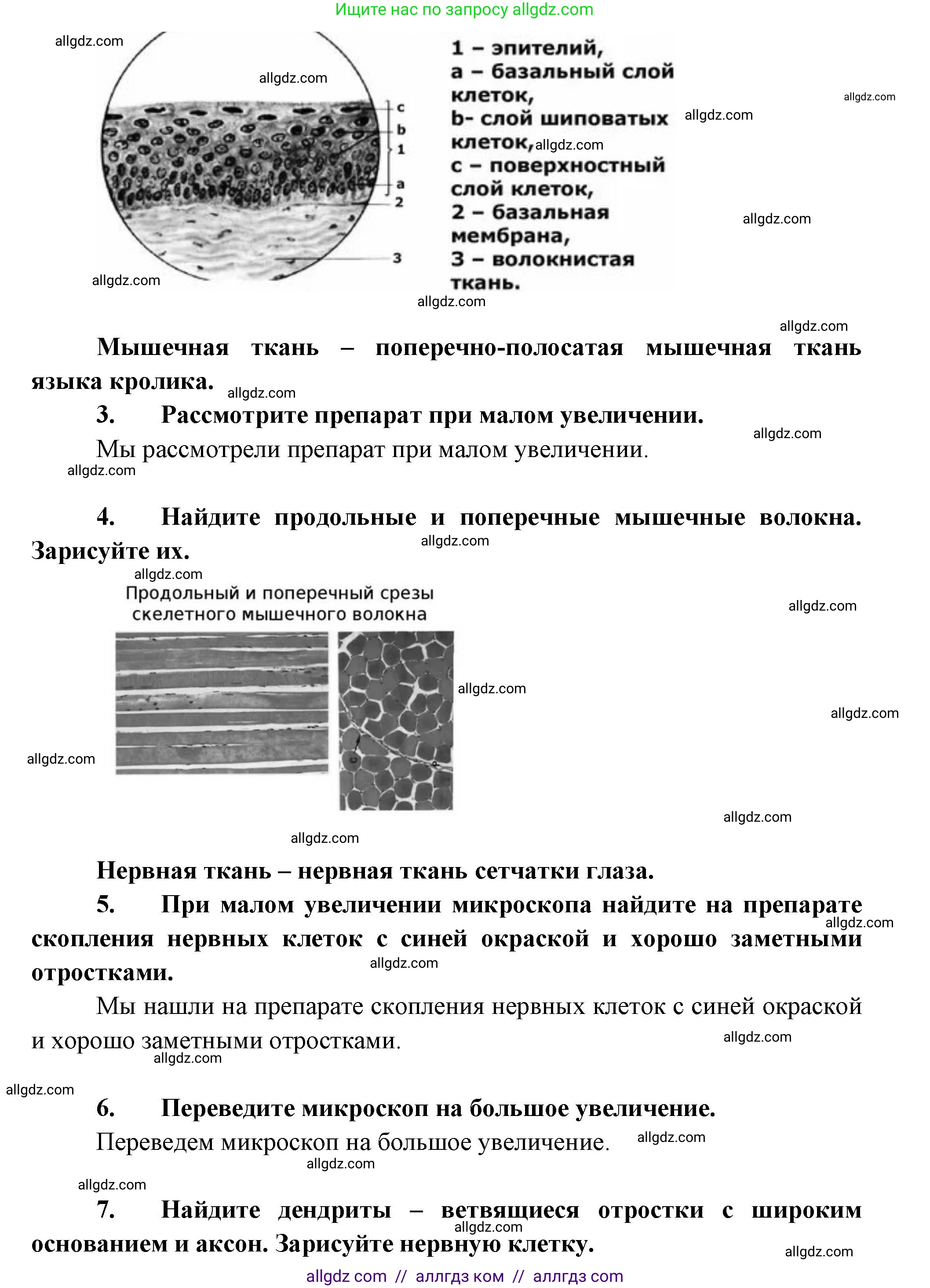 Биология, 9 класс Учебник, авторы: Пасечник Владимир Васильевич, Каменский Андрей Александрович, Швецов Глеб Геннадьевич, Гапонюк Зоя Георгиевна, издательство Просвещение, Москва, 2023, белого цвета, страница 42, Решение (продолжение 2)