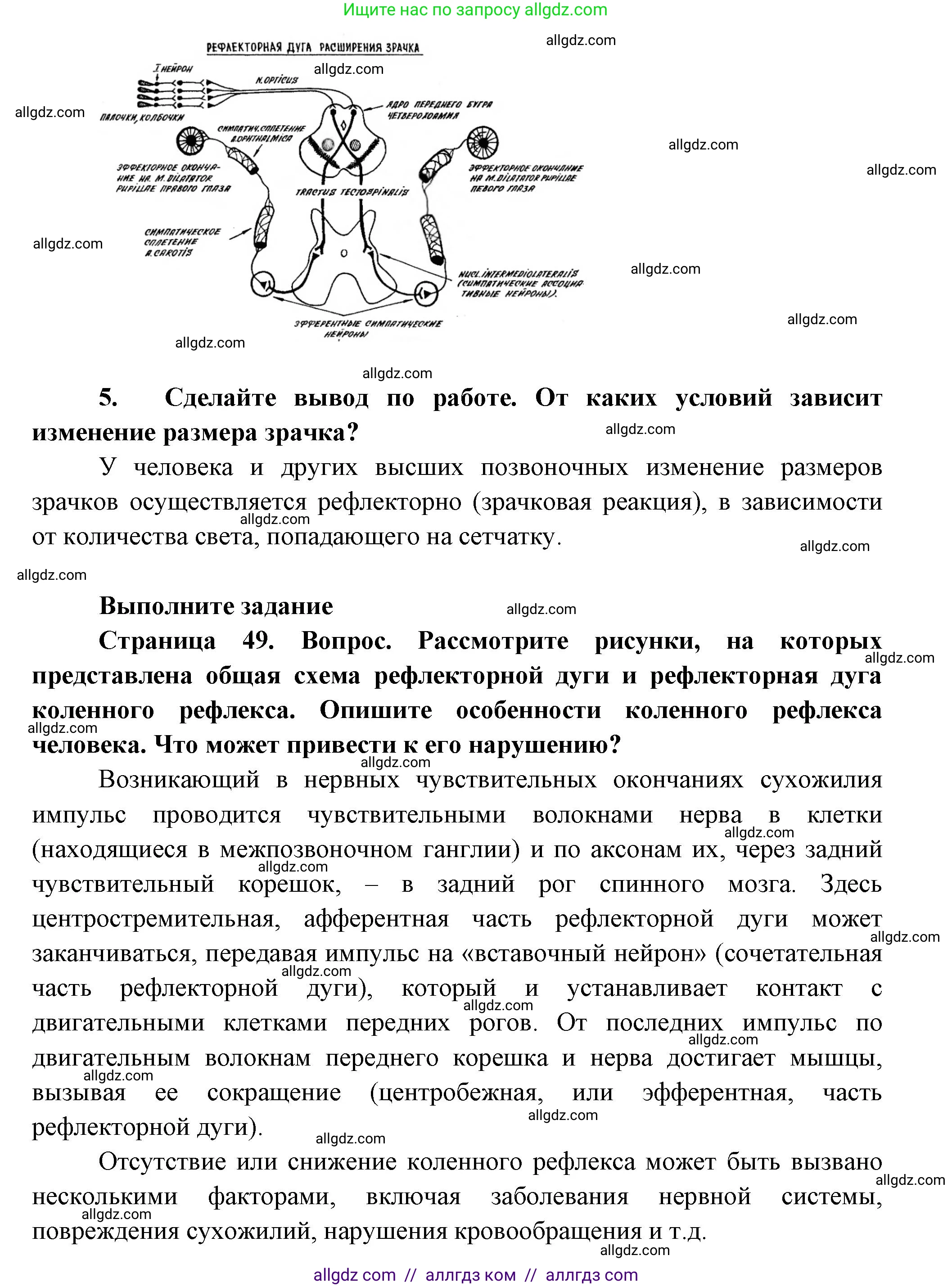 Биология, 9 класс Учебник, авторы: Пасечник Владимир Васильевич, Каменский Андрей Александрович, Швецов Глеб Геннадьевич, Гапонюк Зоя Георгиевна, издательство Просвещение, Москва, 2023, белого цвета, страница 49, Решение (продолжение 3)