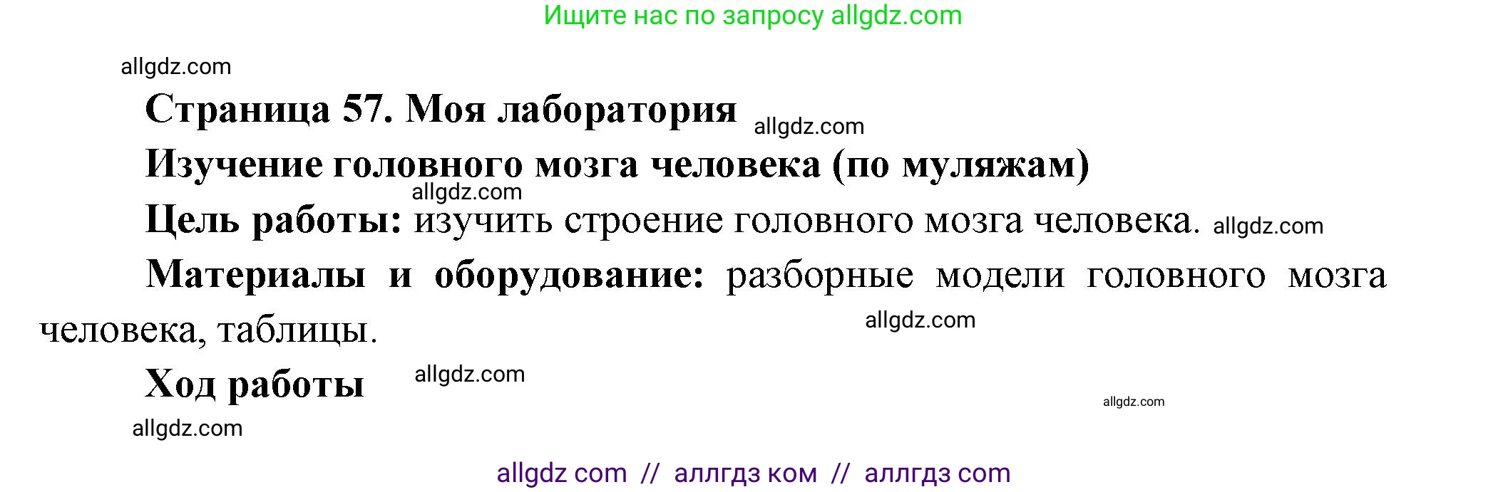 Биология, 9 класс Учебник, авторы: Пасечник Владимир Васильевич, Каменский Андрей Александрович, Швецов Глеб Геннадьевич, Гапонюк Зоя Георгиевна, издательство Просвещение, Москва, 2023, белого цвета, страница 58, Решение