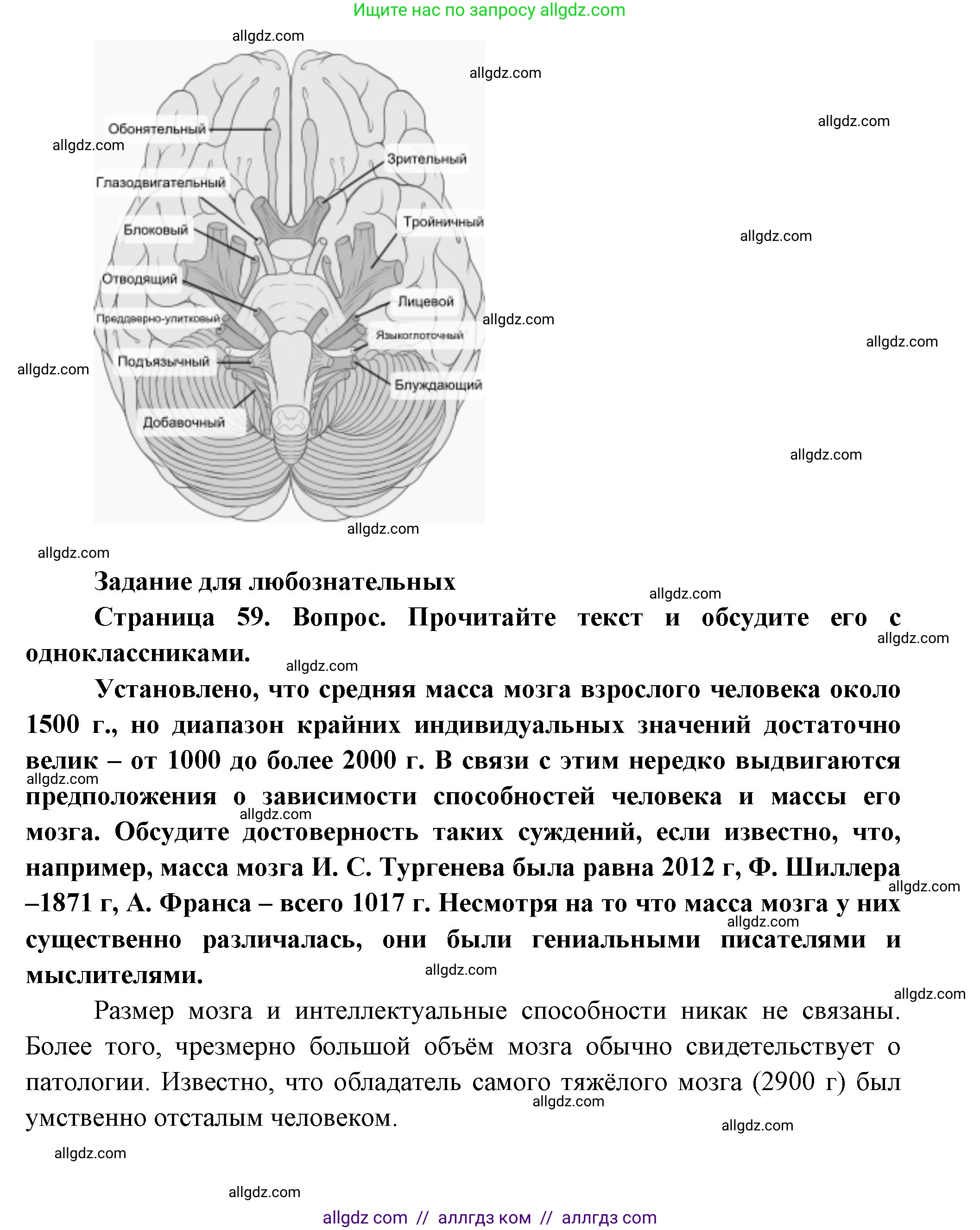 Биология, 9 класс Учебник, авторы: Пасечник Владимир Васильевич, Каменский Андрей Александрович, Швецов Глеб Геннадьевич, Гапонюк Зоя Георгиевна, издательство Просвещение, Москва, 2023, белого цвета, страница 58, Решение (продолжение 3)