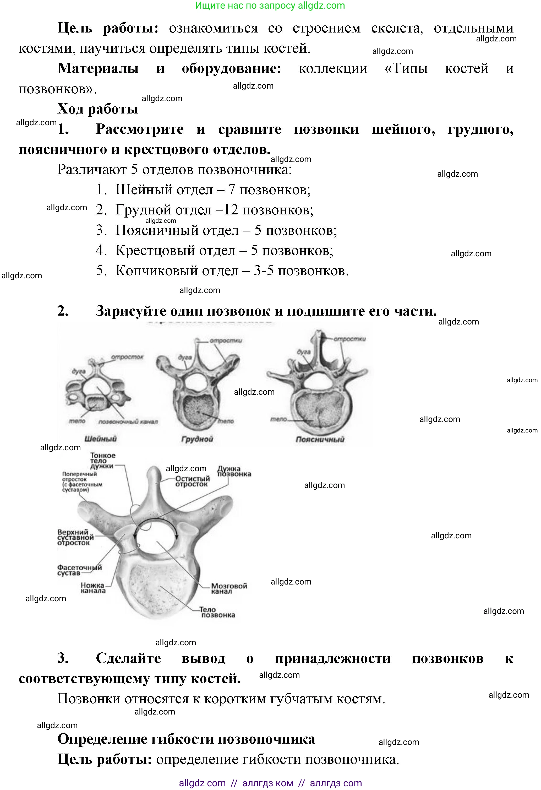 Биология, 9 класс Учебник, авторы: Пасечник Владимир Васильевич, Каменский Андрей Александрович, Швецов Глеб Геннадьевич, Гапонюк Зоя Георгиевна, издательство Просвещение, Москва, 2023, белого цвета, страница 83, Решение