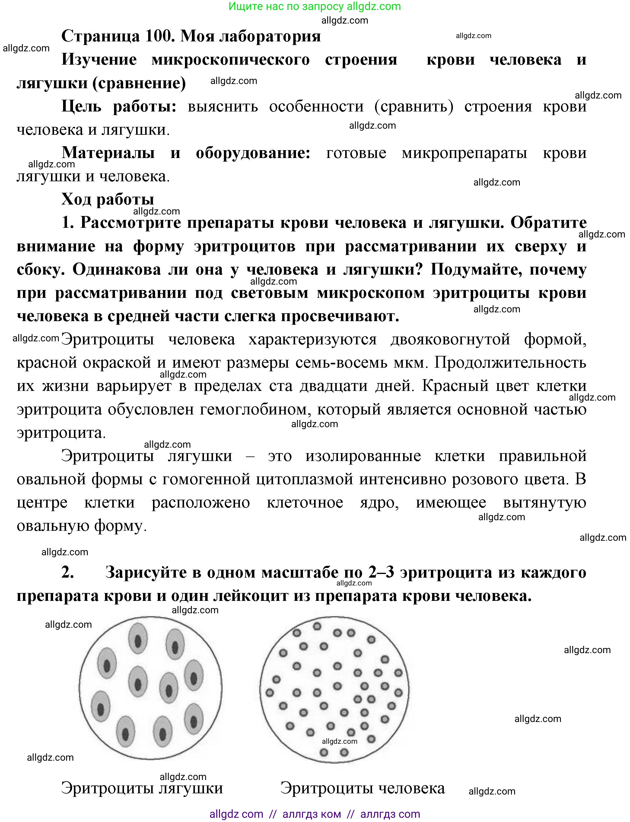 Биология, 9 класс Учебник, авторы: Пасечник Владимир Васильевич, Каменский Андрей Александрович, Швецов Глеб Геннадьевич, Гапонюк Зоя Георгиевна, издательство Просвещение, Москва, 2023, белого цвета, страница 100, Решение