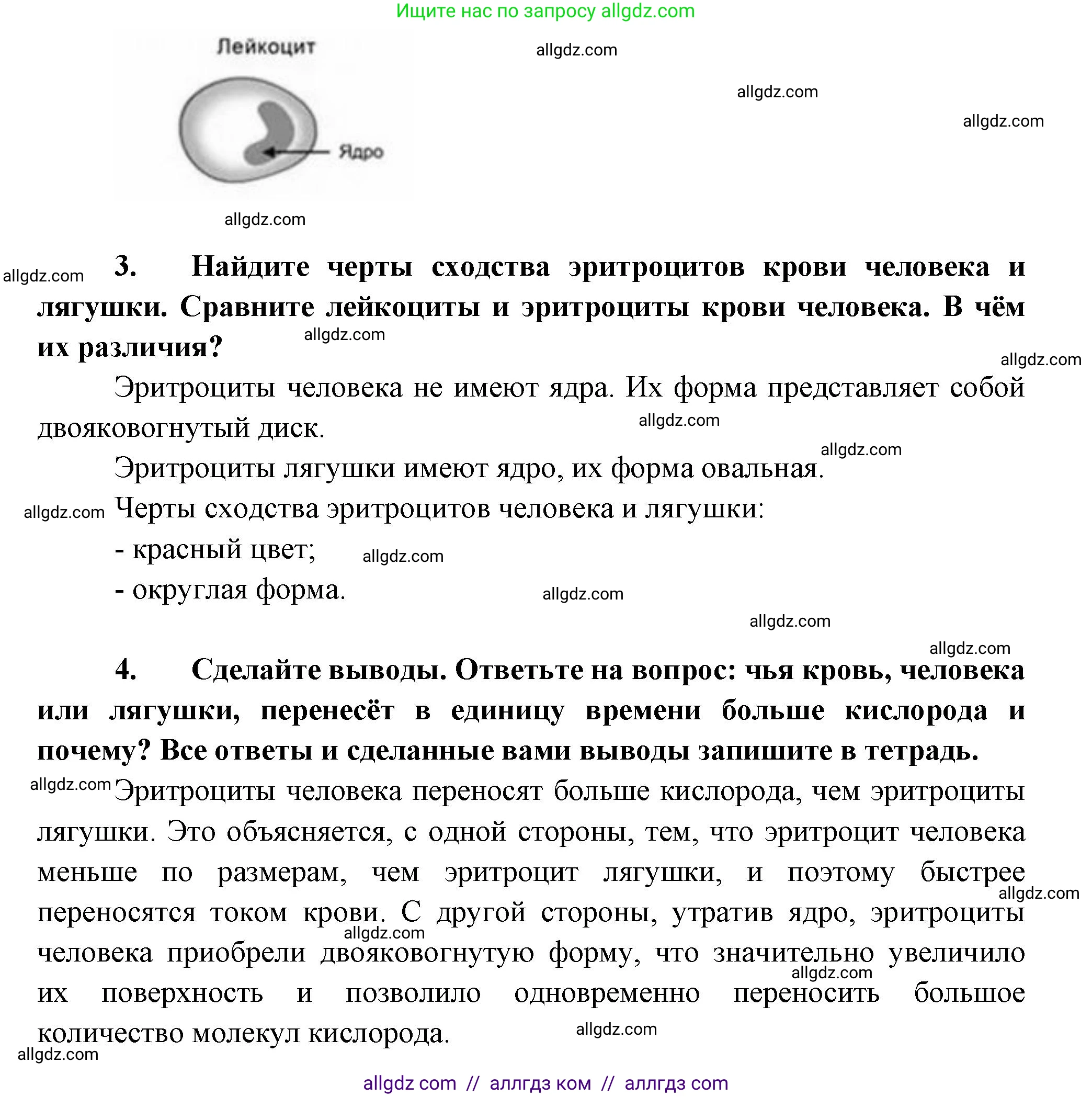 Биология, 9 класс Учебник, авторы: Пасечник Владимир Васильевич, Каменский Андрей Александрович, Швецов Глеб Геннадьевич, Гапонюк Зоя Георгиевна, издательство Просвещение, Москва, 2023, белого цвета, страница 100, Решение (продолжение 2)