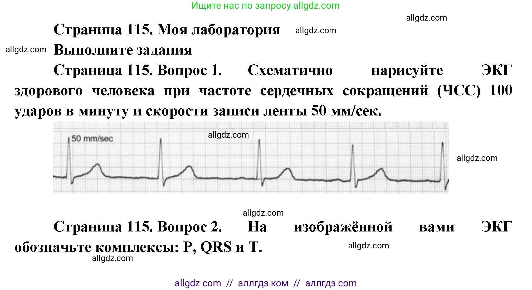 Биология, 9 класс Учебник, авторы: Пасечник Владимир Васильевич, Каменский Андрей Александрович, Швецов Глеб Геннадьевич, Гапонюк Зоя Георгиевна, издательство Просвещение, Москва, 2023, белого цвета, страница 115, Решение